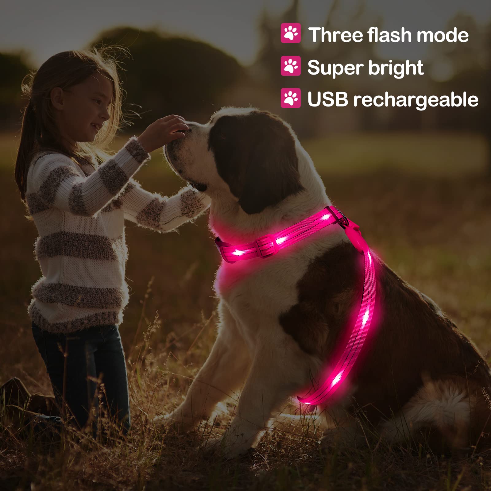 Rechargeable LED Dog Harness with Reflective Strips - Glow in The Dark Light Up Vest for Night Walking (Pink) - Perfect for Evening Walks, Jogging & Outdoor Adventures with Your Pet