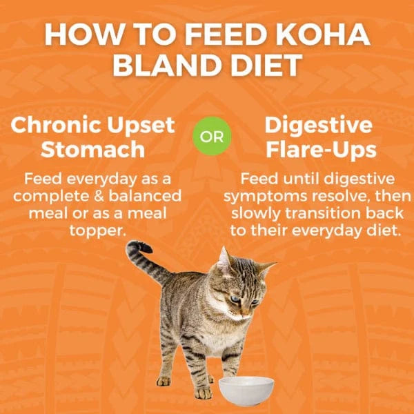 KOHA Limited Ingredient Cat Food - Grain Free Chicken & White Rice Recipe for Sensitive Stomachs | Digestive Support for Cats with Allergies | Perfect for Indoor Cats & Picky Eaters