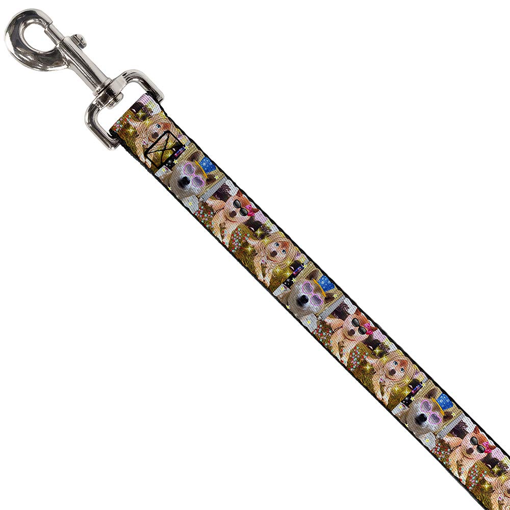 Durable 6FT Dog Leash for Small to Medium Dogs - 0.5 Inch Wide Nylon Pet Lead with 3 Stylish Dress Up Blocks - Perfect for Walking, Training & Outdoor Adventures