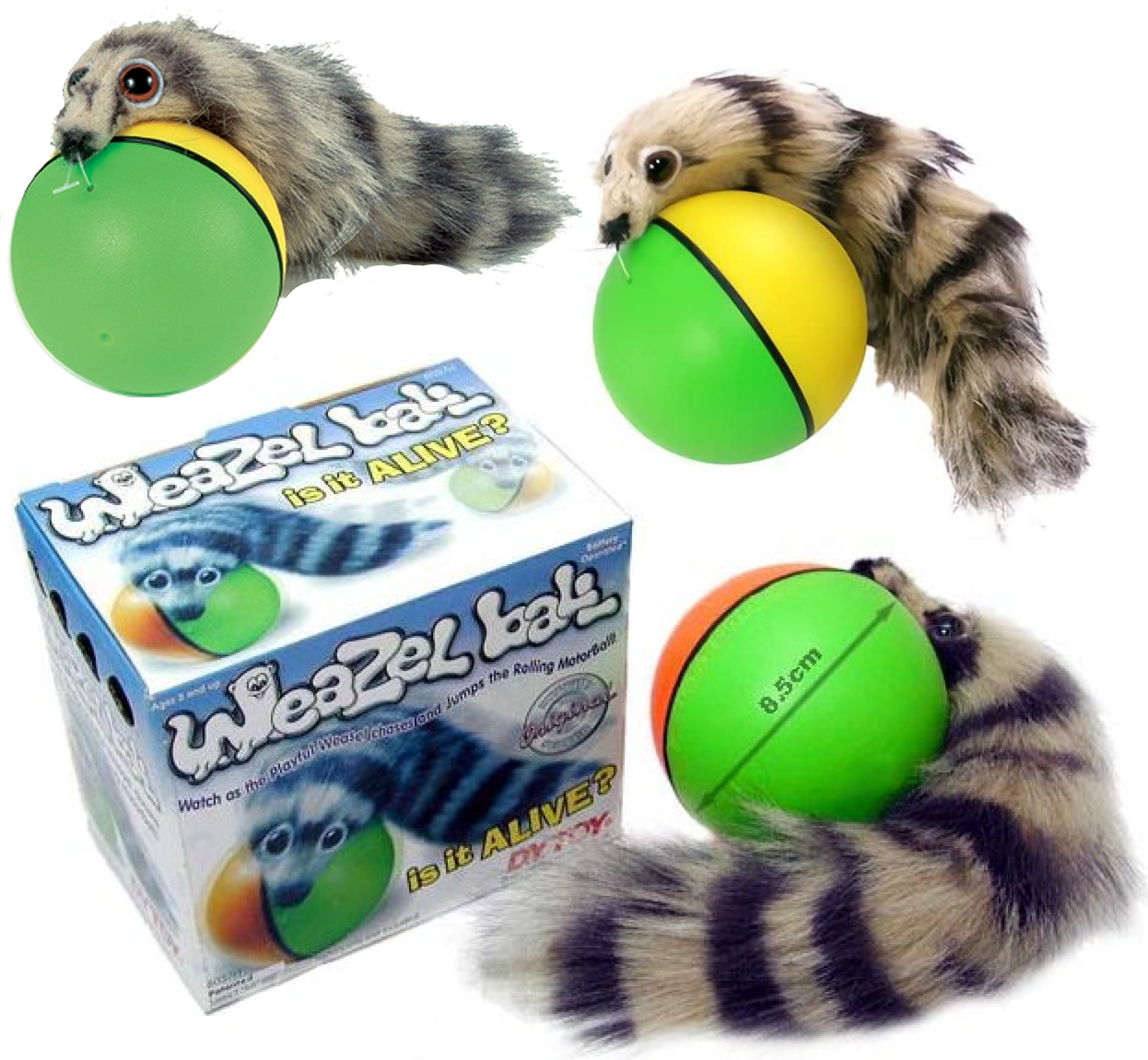 Original Weasel Ball 3 Pack - Interactive Motion Toy for Cats & Dogs - Fun Pet Exercise & Playtime - D.Y. TOY