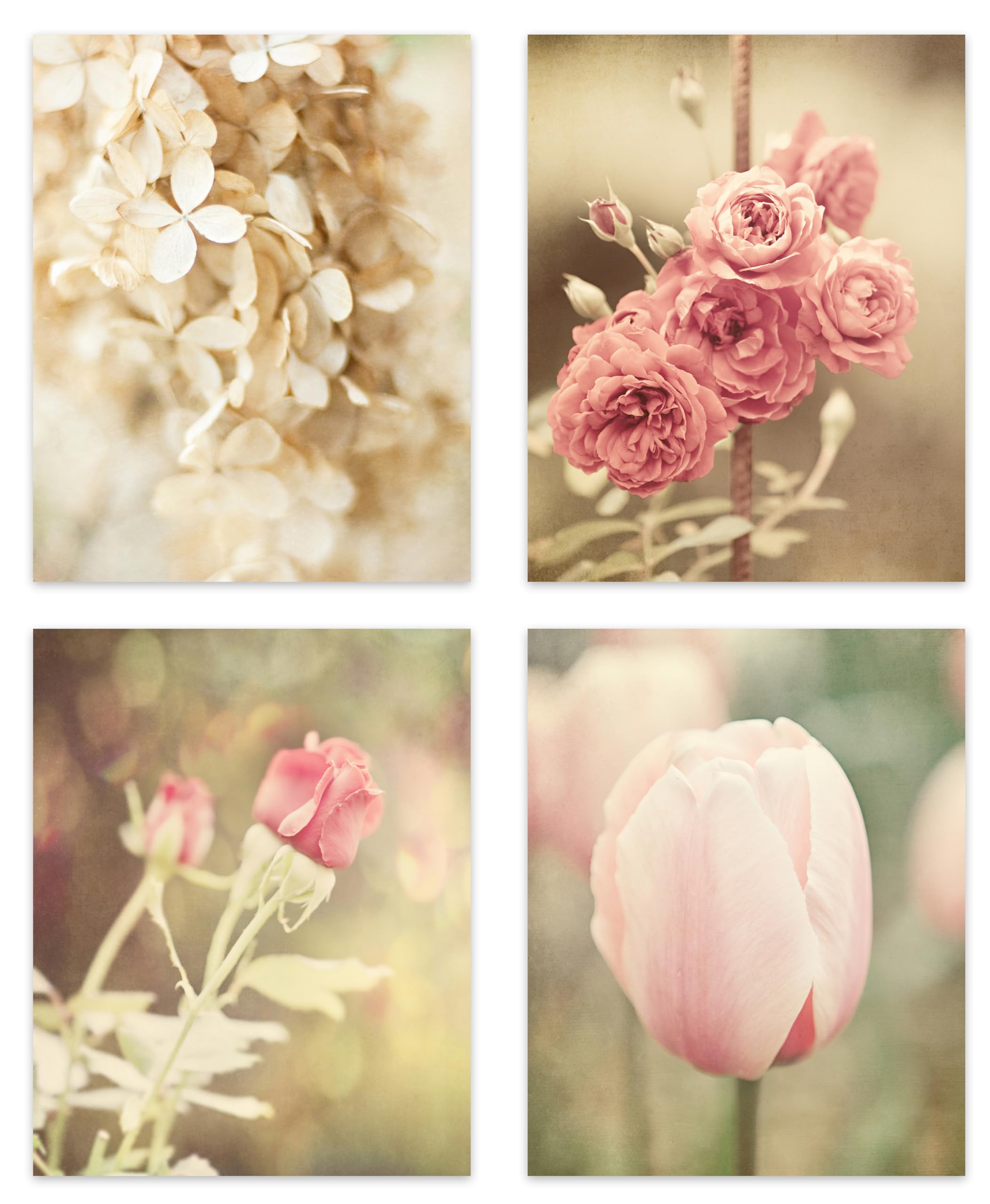 Pink and Off White Floral Art Prints - Set of 4 Unframed Wall Decor - Shabby Chic French Country Flower Pictures - Perfect for Bathroom, Bedroom, Nursery or Living Room - 8x10 Inches - Home Decor Gift Idea