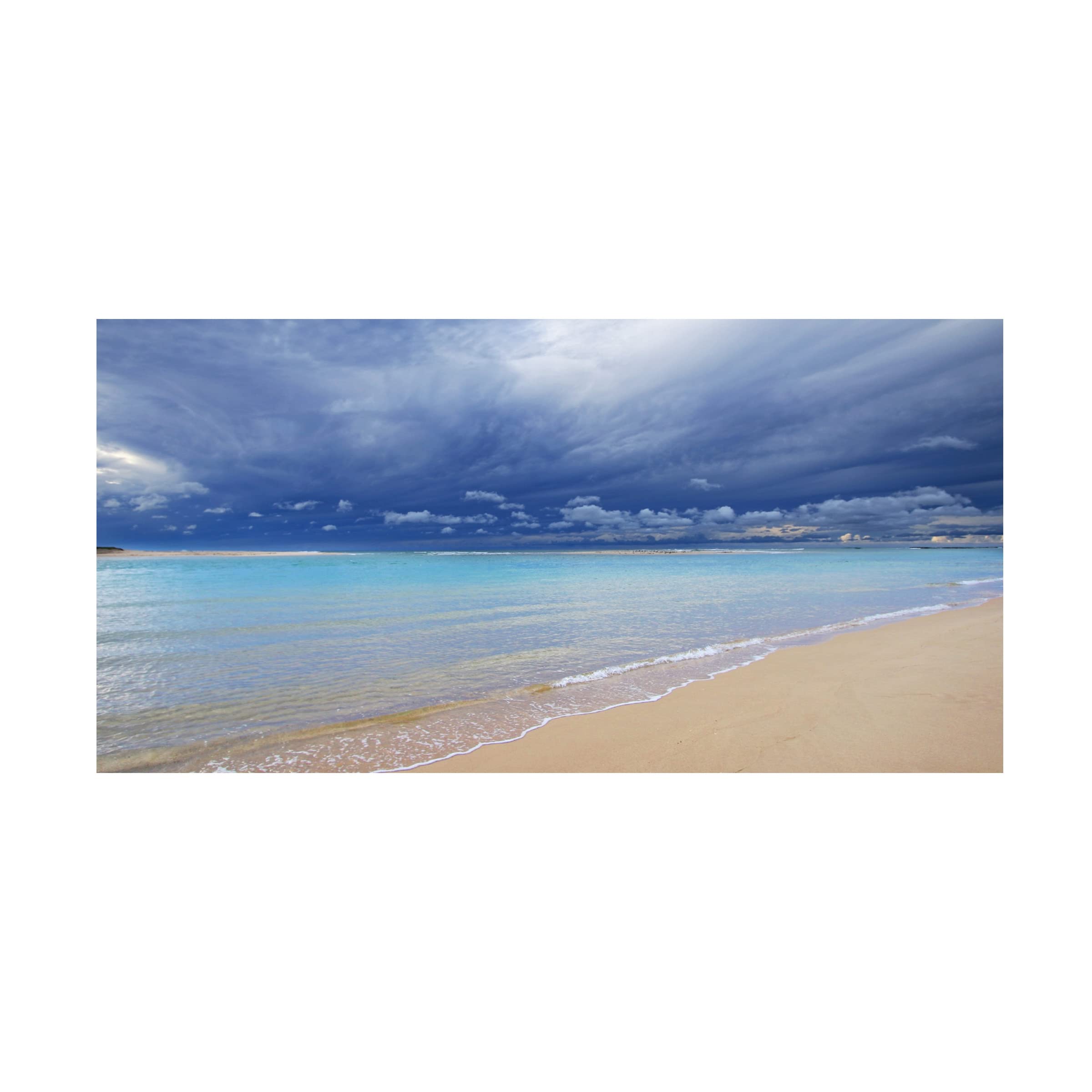 Trademark Fine Art 'Born to Be on a Beach 4' Canvas Wall Art Print by Beata Czyzowska Young - Tropical Beach Decor for Living Room, Bedroom & Office