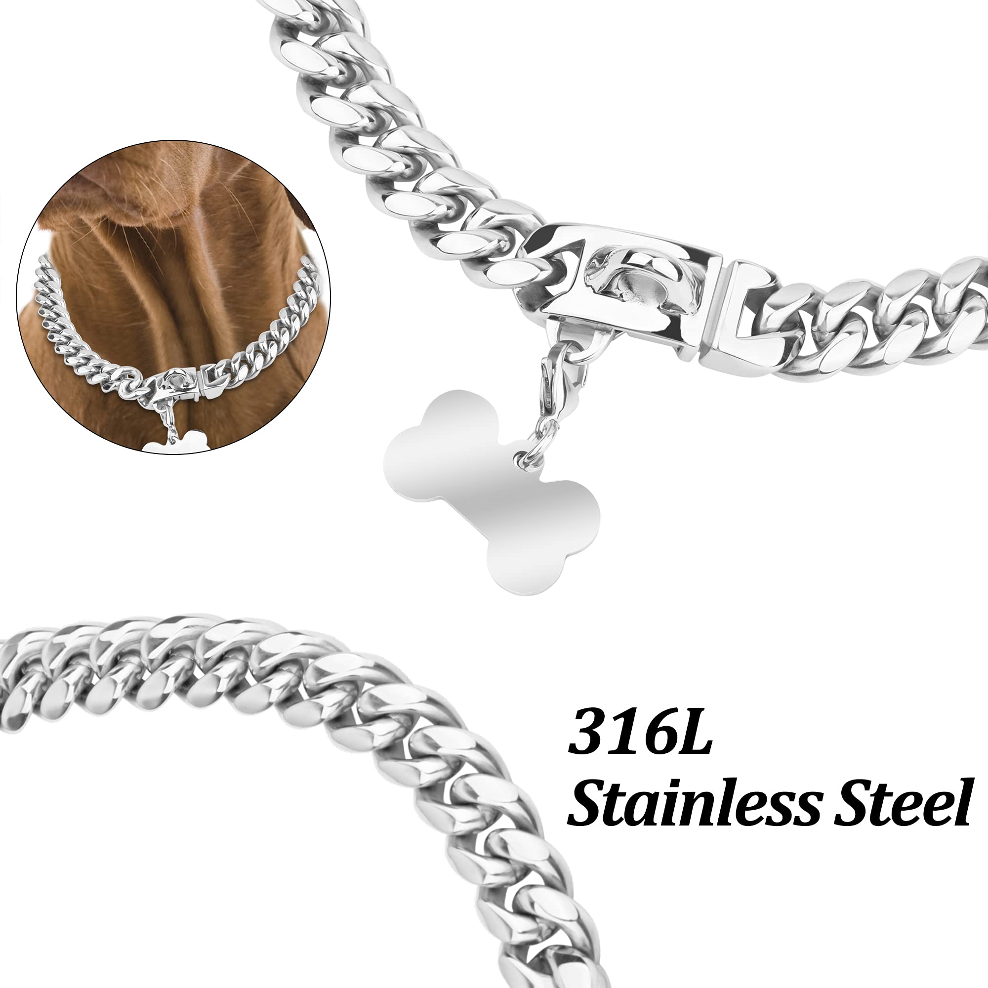 Silver Small Dog Collar with Secure Buckle - 12