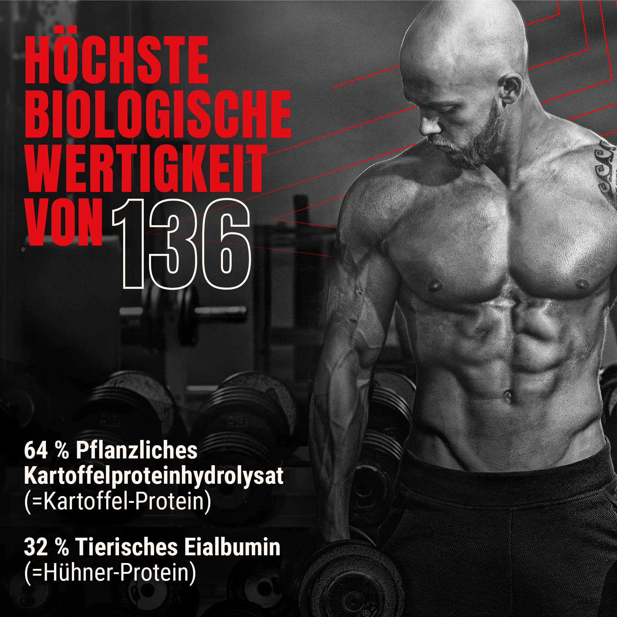 Powerstar AMINO MASS | High-Dose Amino Acid Complex | 500 Tablets | World's Highest Biological Value 136 | Muscle Building, Workout & Protein Supplement | German Made | Perfect for Bodybuilding, Fitness Training & Post-Workout Recovery