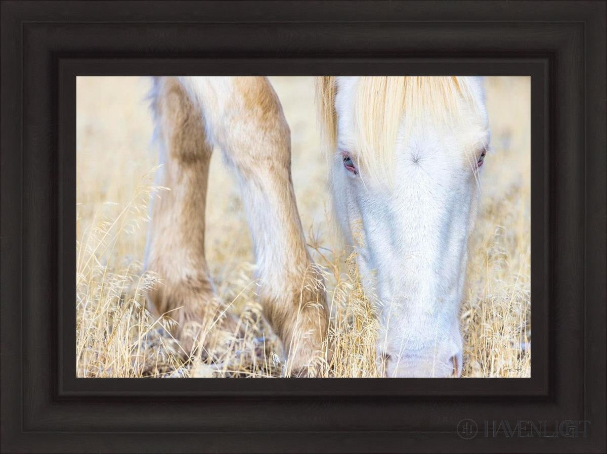 Dry Grass by Greg Sargent - Premium Handcrafted Home Decor for Rustic & Farmhouse Style - Perfect for Wall Art, Shelf Displays & Cozy Living Room Decor
