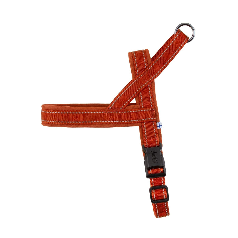 Comfortable & Adjustable Padded Dog Harness for Small & Medium Dogs - Perfect for Walking, Hiking & Outdoor Adventures