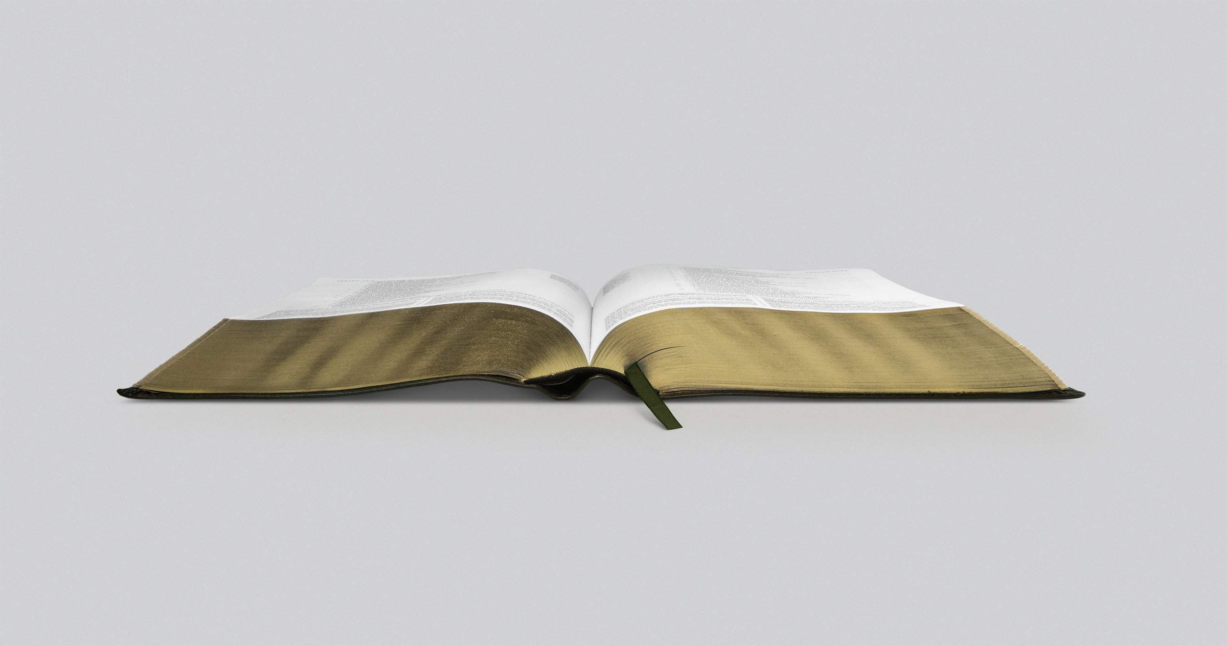ESV Study Bible - TruTone Olive Branch Design Leather Bible for Men & Women | Perfect for Church, Bible Study Groups & Personal Devotion