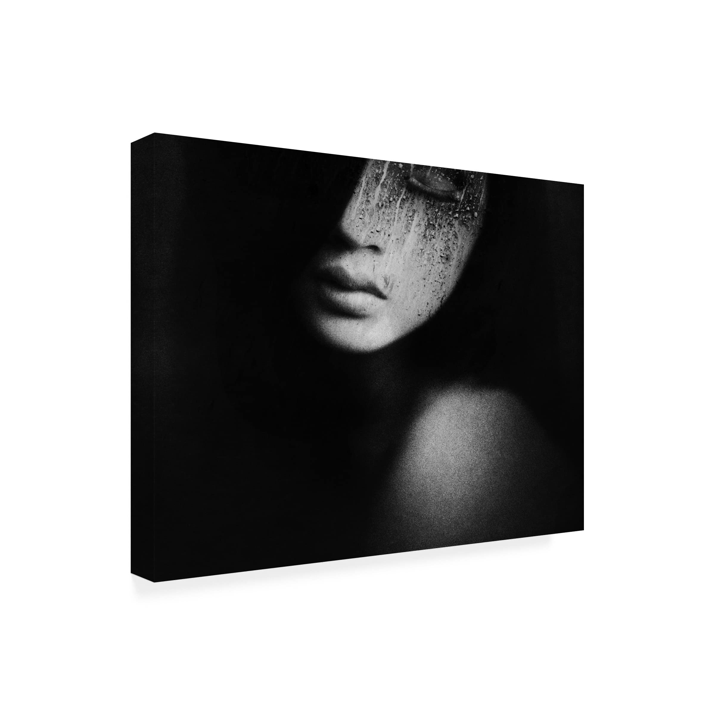 Trademark Fine Art 'Solitude' Canvas Wall Art by Hari Sulistiawan - Hand-Painted Modern Abstract Painting for Living Room, Bedroom & Office Decor