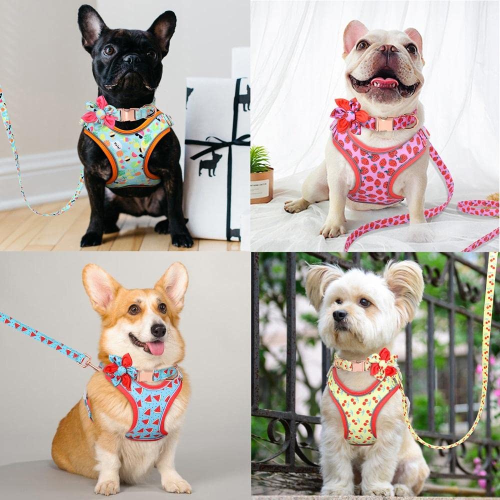 Premium Dog Harness and Leash Set - Adjustable Reflective Pet Collar with Soft Padded Vest for Medium & Large Dogs - Perfect for Walking, Hiking & Outdoor Adventures