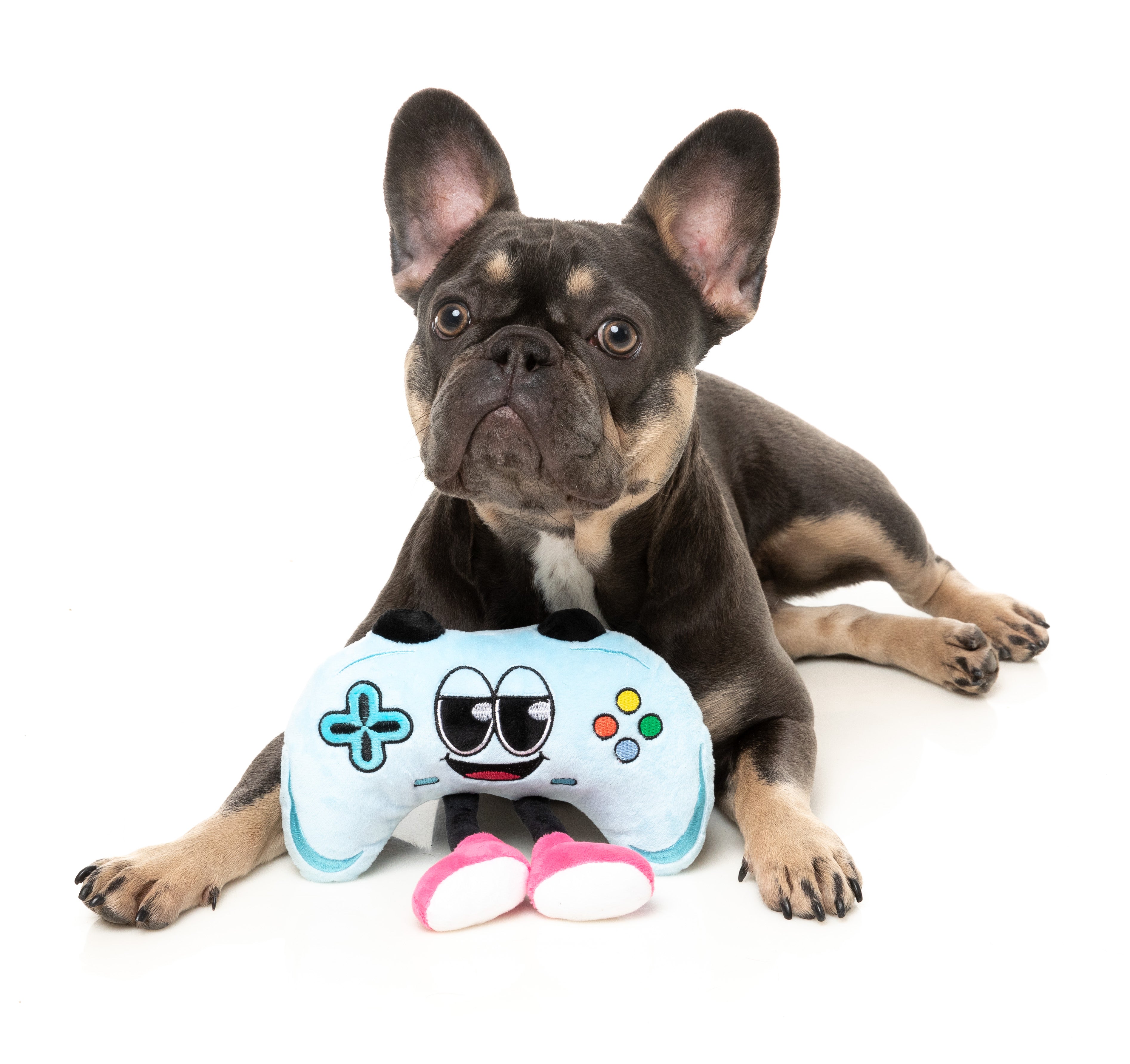 FuzzYard The Homies Squeaky Plush Dog Toy for Small & Medium Dogs - Soft & Durable Chew Toy for Puppies - Perfect for Indoor Play, Training & Cuddling