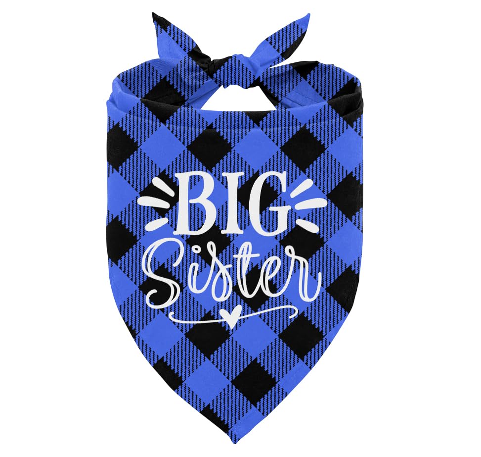 Blue Plaid