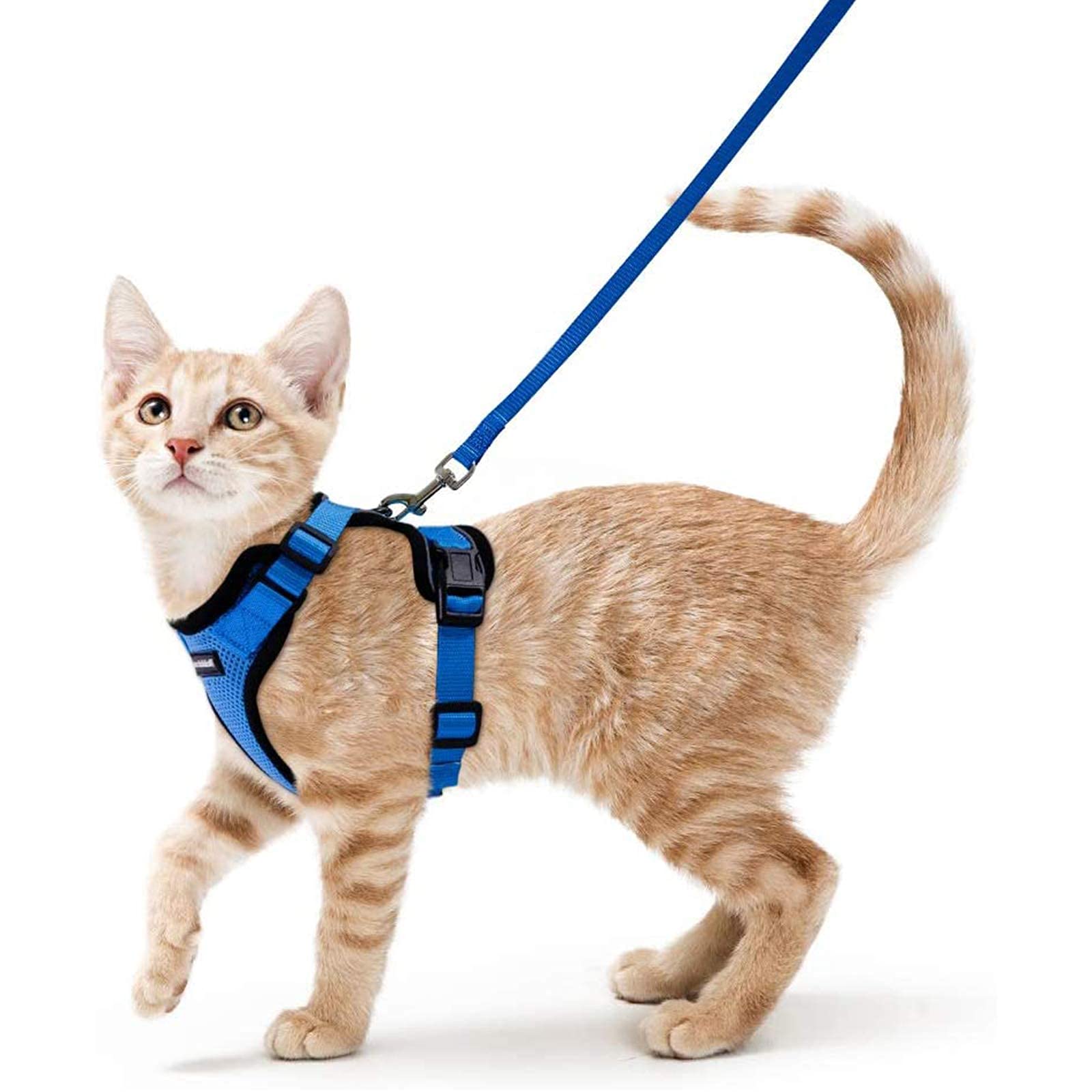 Rabbitgoo Escape Proof Cat Harness and Leash Set - Adjustable Soft Vest for Walking, Breathable Reflective Jacket with Easy Control (Navy Blue, XS) - Perfect for Outdoor Adventures & Vet Visits