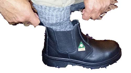 Dolphin D10 CSA Approved Safety Shoes - Steel Toe Work Boots for Construction, Welding & Industrial Use | Slip Resistant & Comfortable for Heavy Duty Jobs