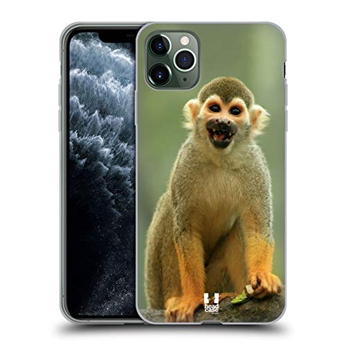 Common Squirrel Monkey