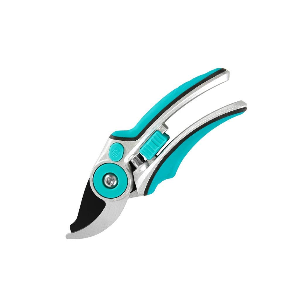 Premium Stainless Steel Garden Pruning Shears - Sharp Bypass Pruner for Trimming Branches, Stems & Plants | Ergonomic Gardening Scissors with Non-Slip Handles (Blue) | Ideal for Home Gardeners, Landscaping & Outdoor Plant Care