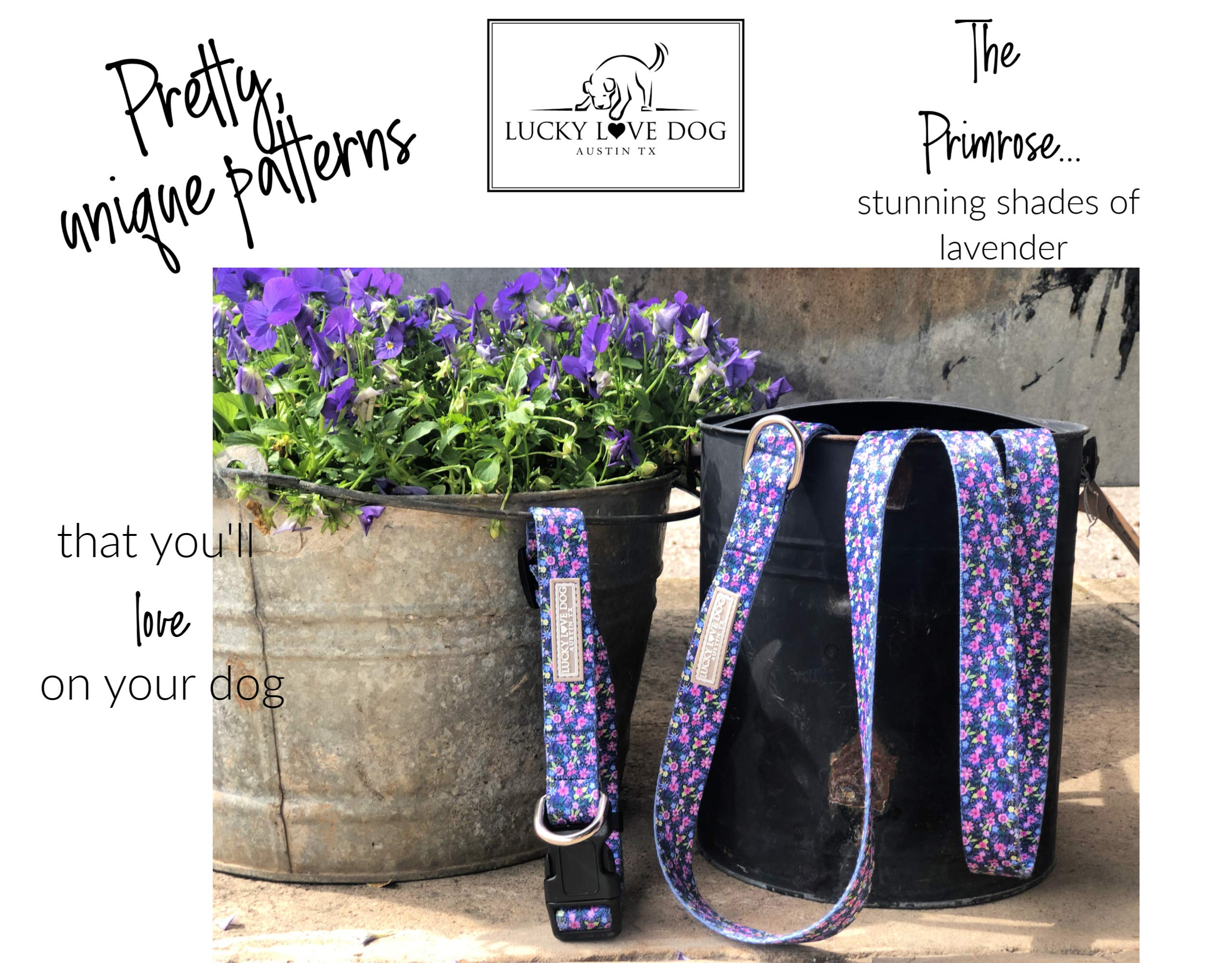 Lucky Love Dog Leash - Premium Durable Pet Leash with Vivid Floral Patterns (Primrose, Small) - Perfect for Small Dogs, Daily Walks & Outdoor Adventures