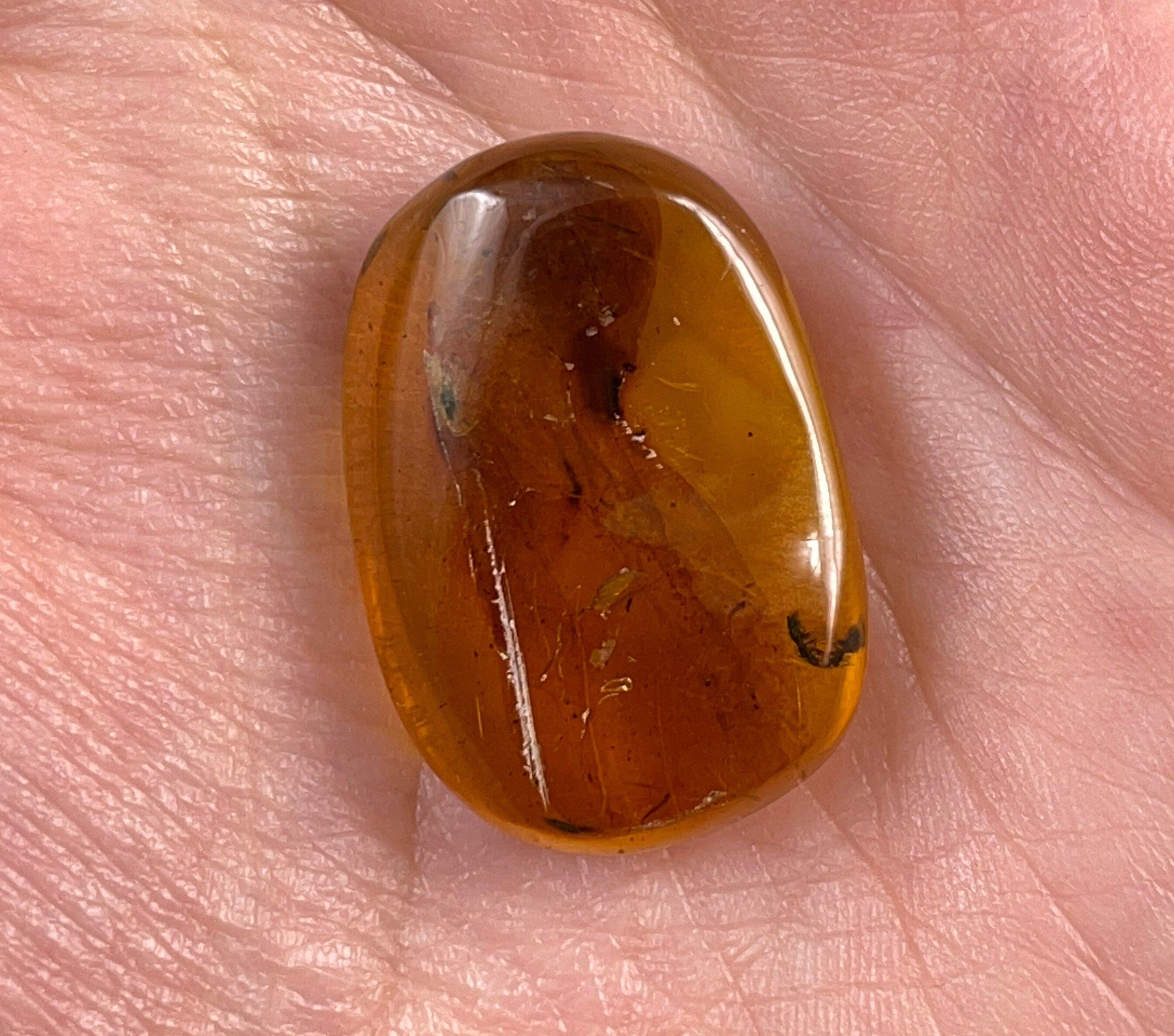 Real Fossil AMBER Stone with Insect Inclusion - Natural Tumbled Healing Crystals & Stones (52750) - Perfect for Jewelry Making, Meditation & Home Decor