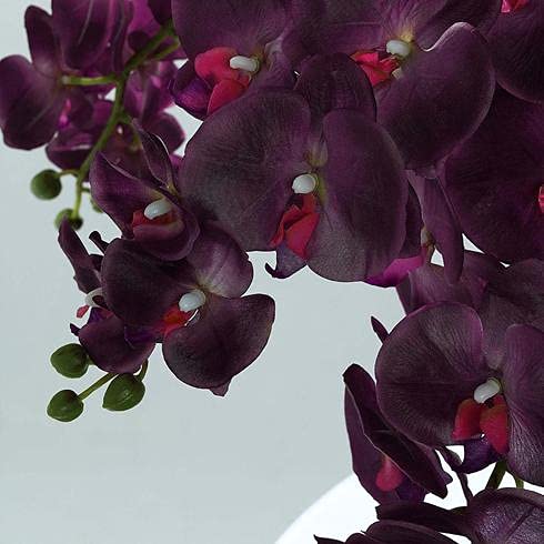 40 Inch Artificial Phalaenopsis Silk Orchid Flowers - Real Touch Fake Orchid Branches for Home, Office, Wedding Decor - Pack of 2 (Eggplant Purple) - Perfect for Centerpieces, Table Decorations & Wall Arrangements