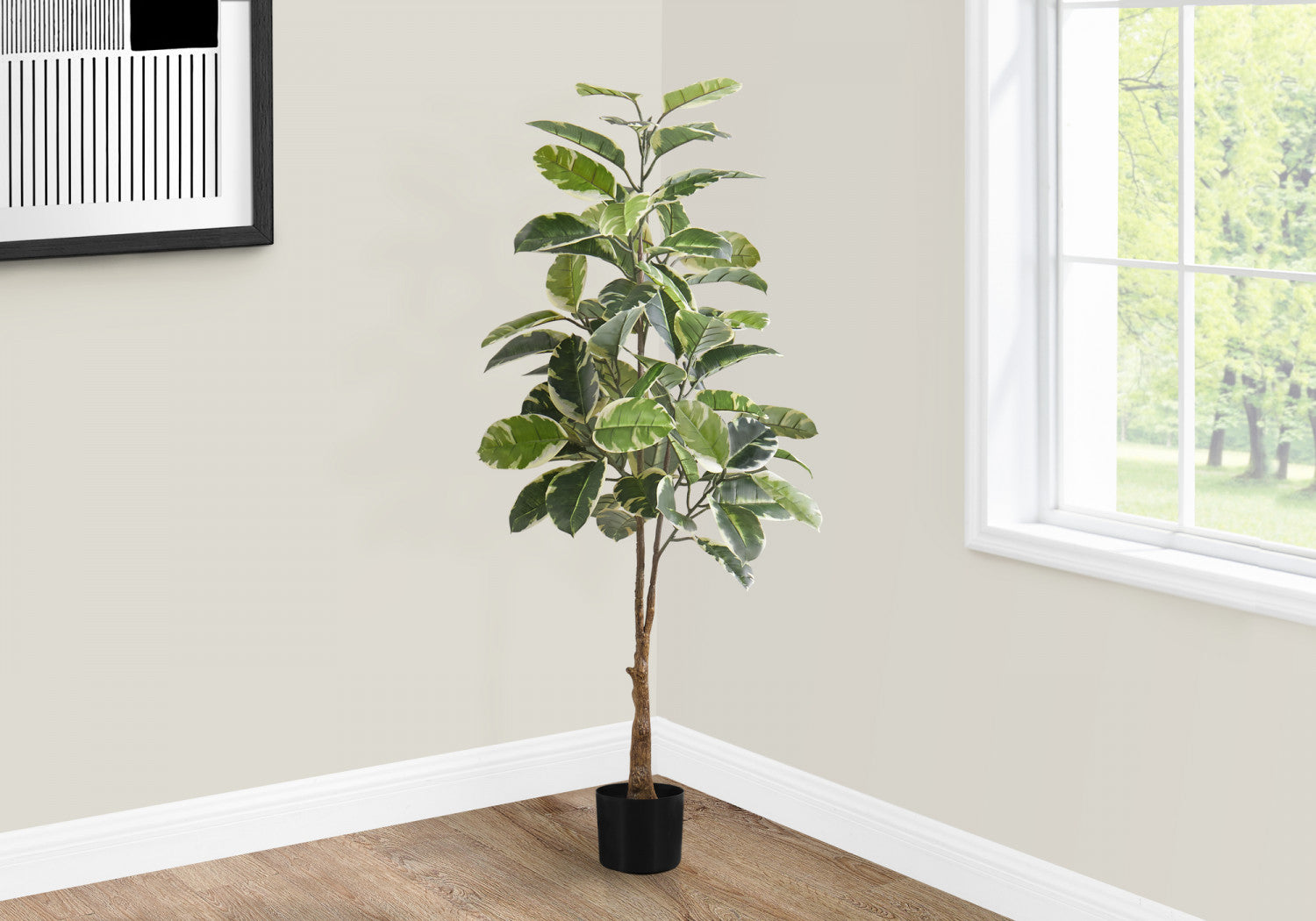 52 Pack Rubber Tree Plants with 5 Black Pots - Green/White Foliage - Perfect for Home Office Decor, Indoor Gardening & Housewarming Gifts