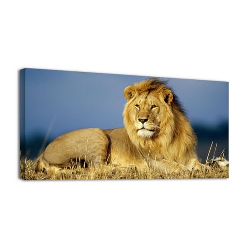 Nature Animal207