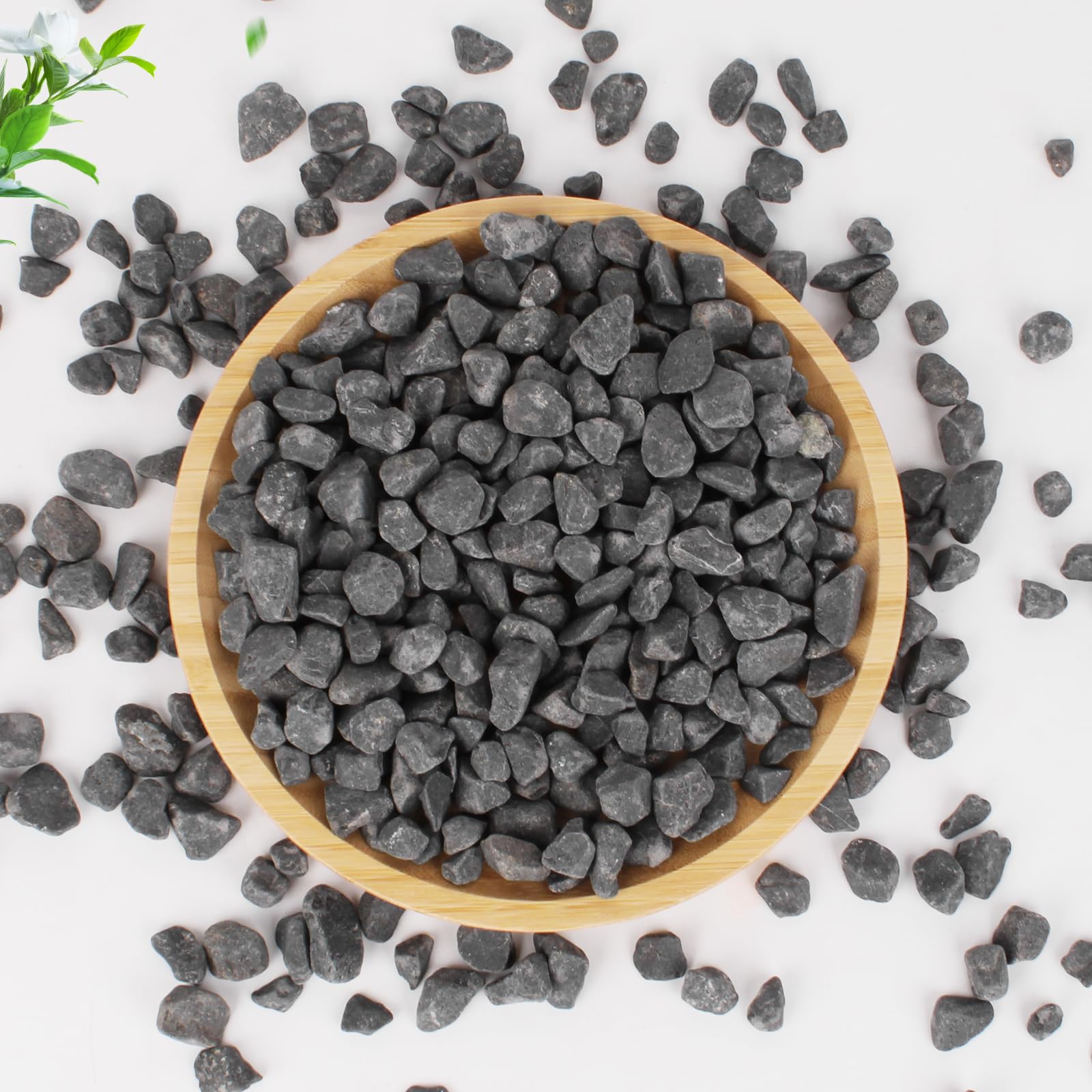 Natural Black River Rocks - 3/5 Inch Small Decorative Pebbles for Potted Plants, Succulents, Cactus, Aquariums, Fish Tanks, Vases & Terrariums (1 LB) - Perfect for Indoor Plant Decor, Zen Gardens & DIY Landscaping Projects