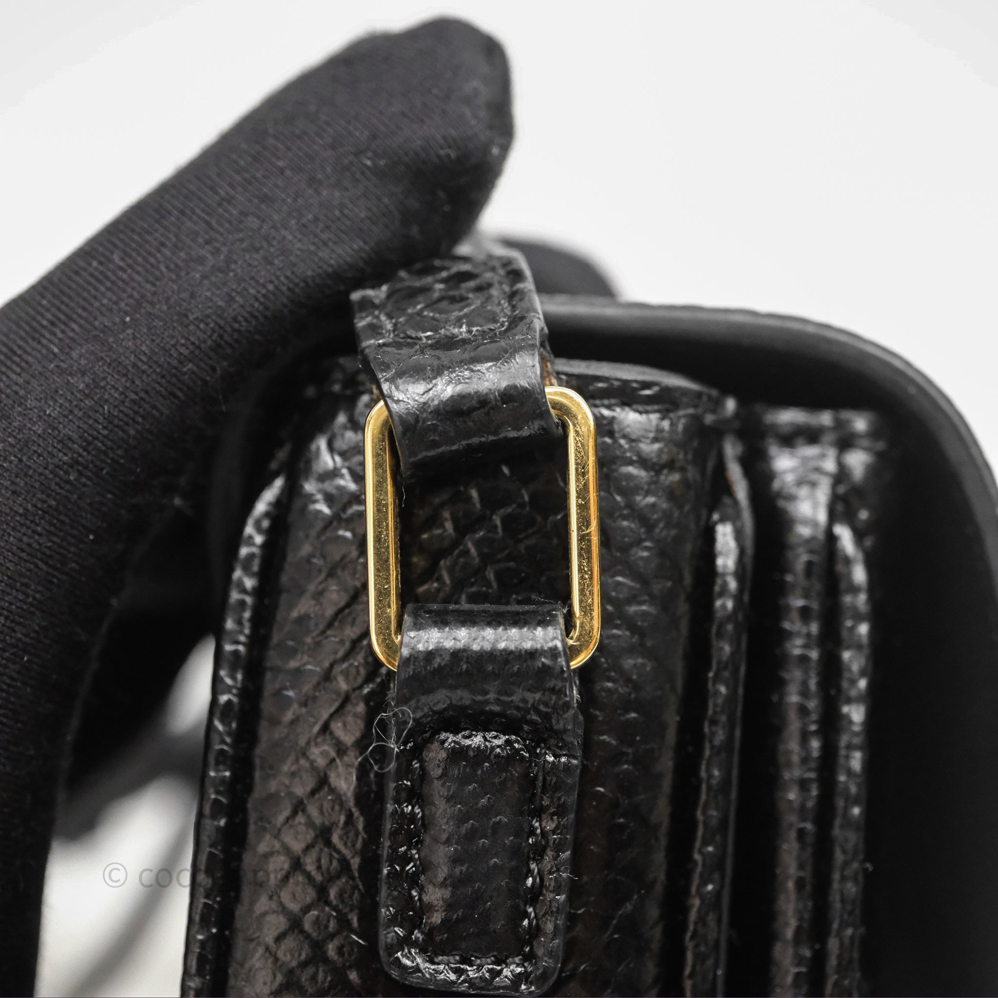 Celine Lizard Small Pampille C Bag in Black with Gold Hardware - Luxury Crossbody Bag for Women, Perfect for Evening Events & Date Nights