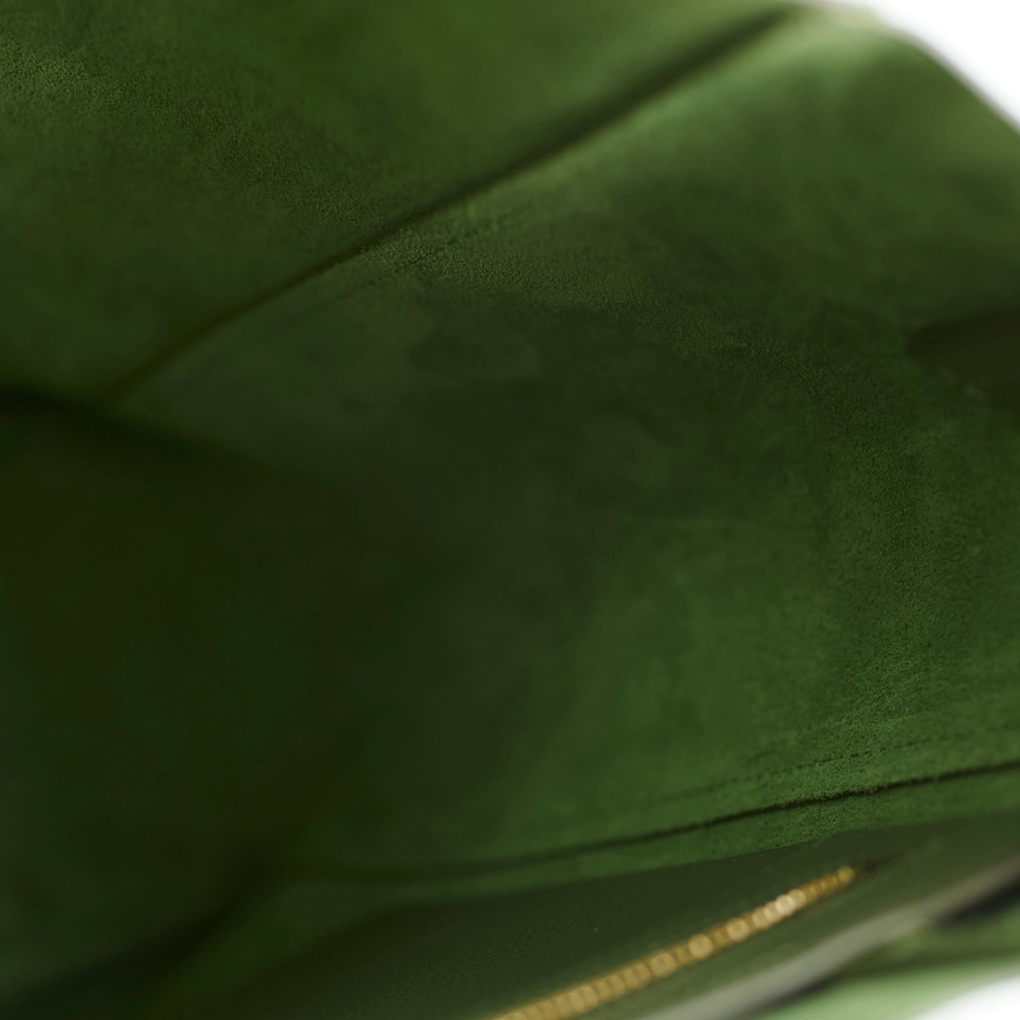 Celine Green Leather Tote Bag with Adjustable Strap - Stylish Handbag for Women, Work, Travel & Everyday Use