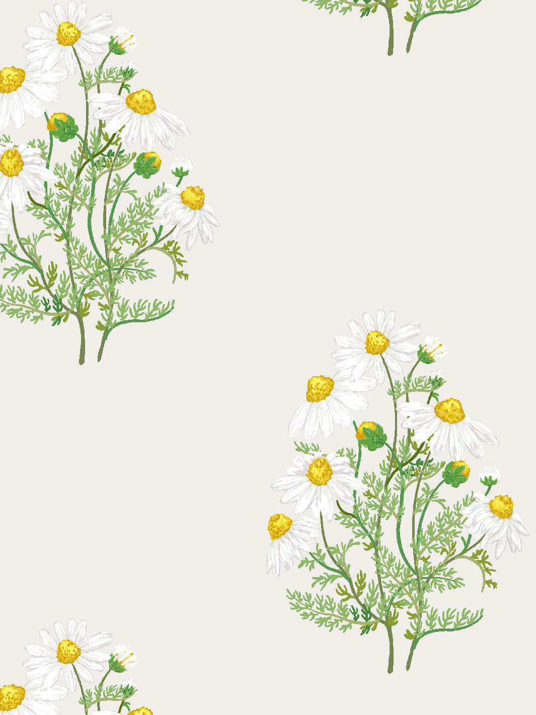 Sarah Jessica Parker Fleur De Camomille Wallpaper - Elegant Parchment Design for Living Room & Bedroom Decor