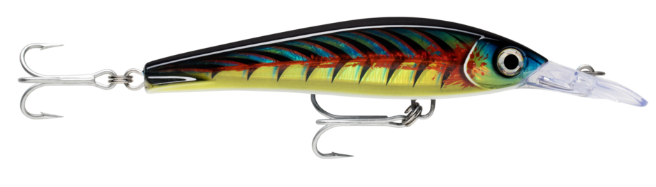 Rapala X Rap Magnum Xtreme 160 Fishing Lure - Premium Crankbait for Bass, Walleye & Pike - Perfect for Freshwater & Saltwater Fishing Adventures