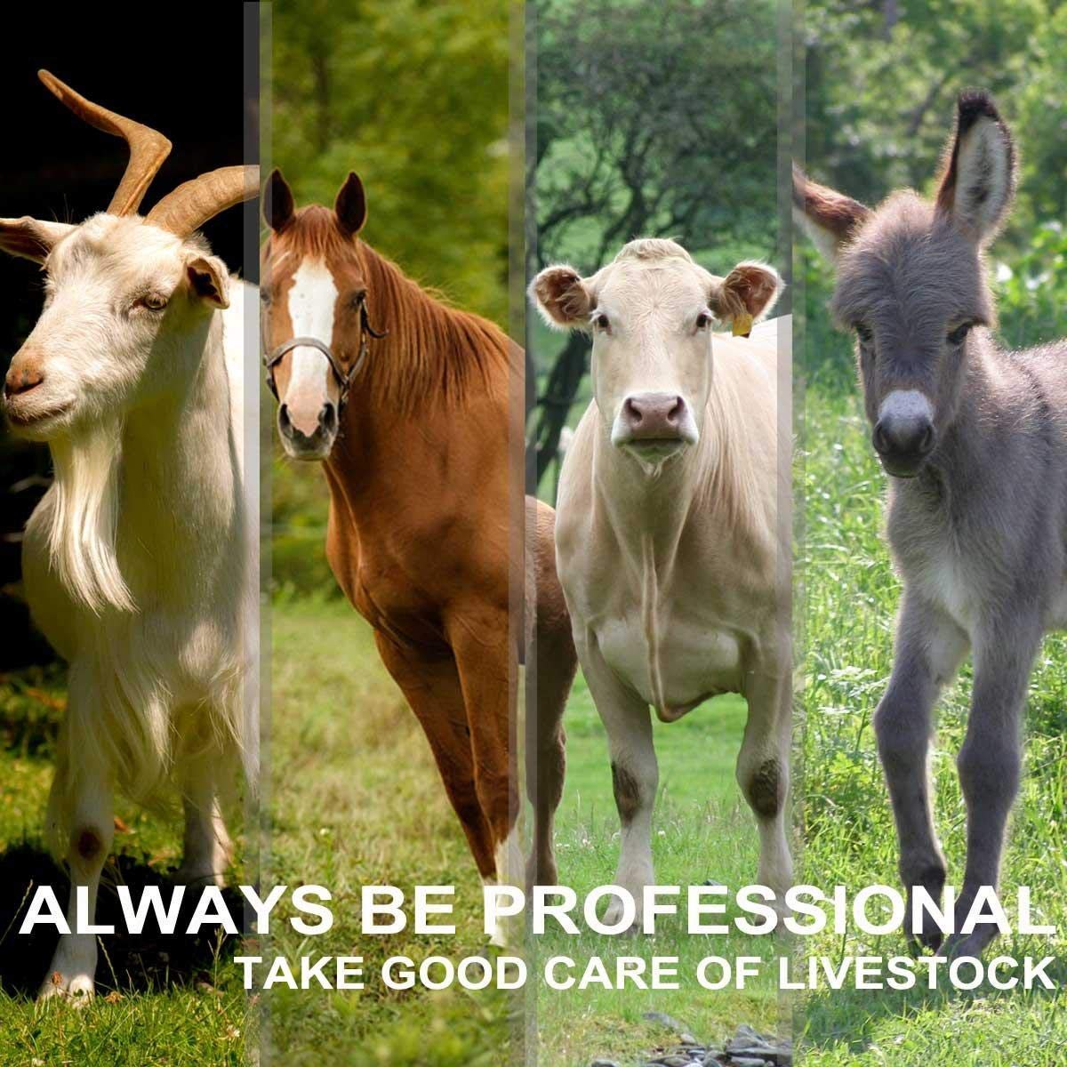 Professional Electric Horse & Livestock Clippers - Portable Heavy Duty Animal Grooming Shears for Horses, Goats, Alpacas, Llamas & Thick-Coated Animals - Perfect for Farm, Ranch & Pet Grooming at Home or On-The-Go