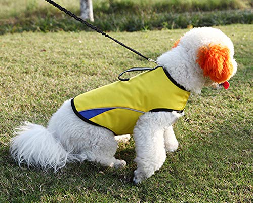 Calming Anxiety Vest for Small Dogs - Thunder Shirt with D-Ring & Training Handle - Reduce Stress During Storms, Fireworks & Travel - Perfect for Nervous Pets