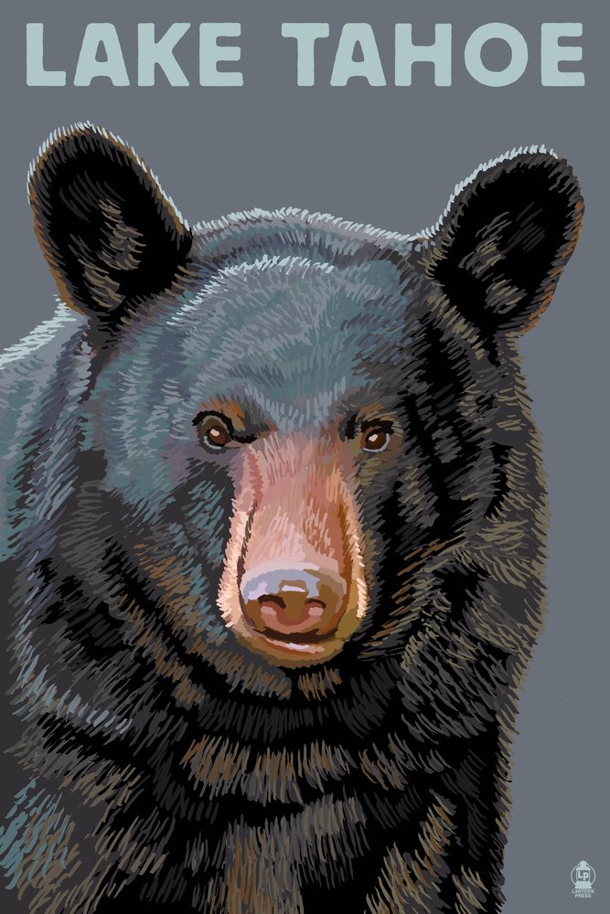 Premium Lake Tahoe Bear Face Metal Wall Art - 24x36 Gallery Quality Aluminum Decor for Home, Office & Cabin - Rustic Wildlife & Nature Inspired Wall Decor