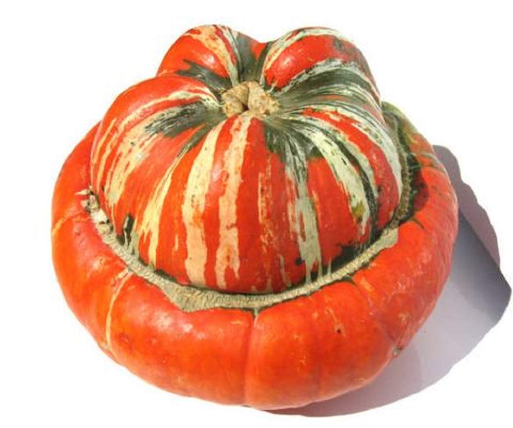 Turk's Turban Gourd 10 Seeds - Colorful Buttercup-Shaped Heirloom Seeds for Fall Decor, Thanksgiving Centerpieces & Garden Displays