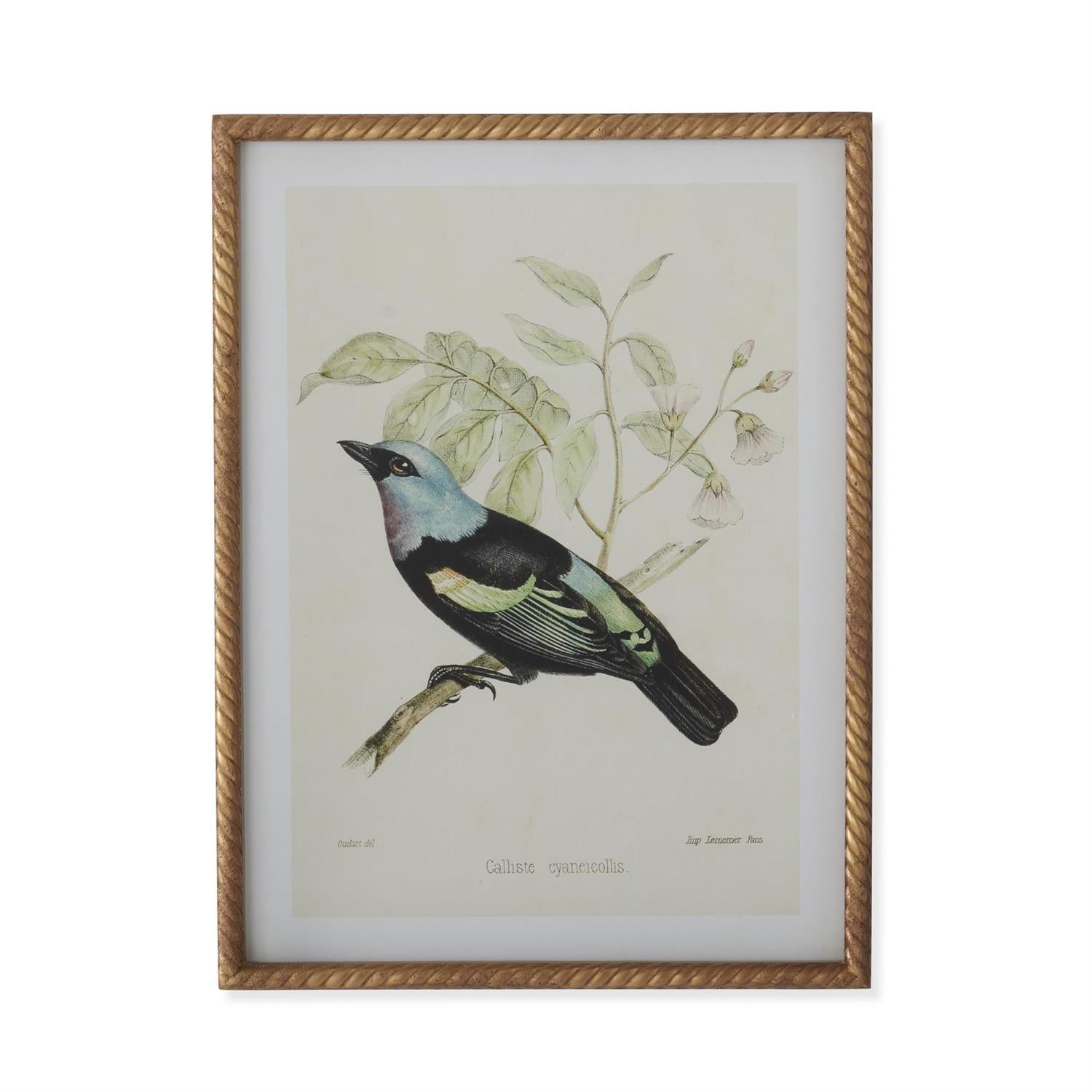 Stylish Bird Print Wall Art with Unique Twist Frame - Perfect for Home, Office & Living Room Decor