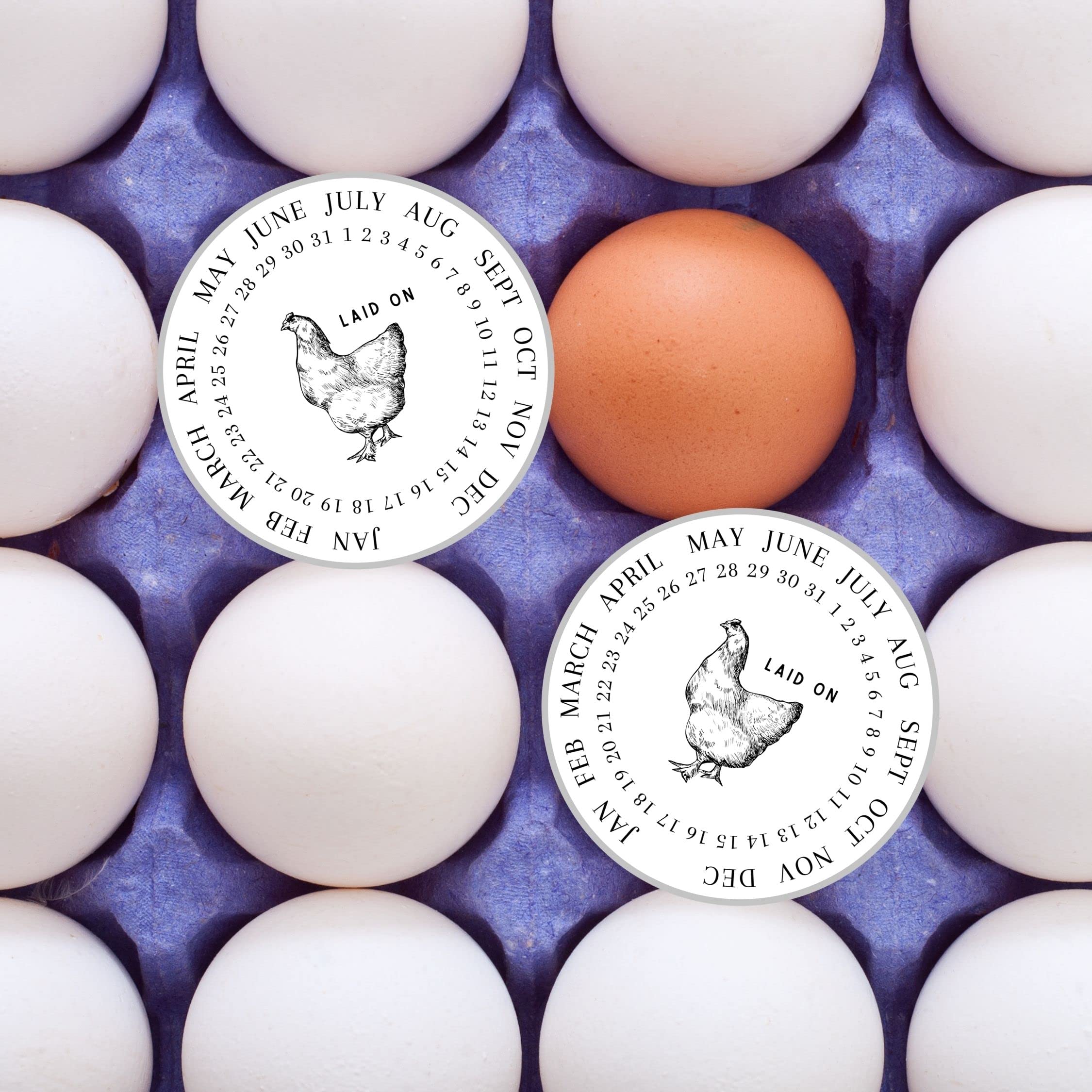 Farm Fresh Egg Date Stickers - 50 Pack 2