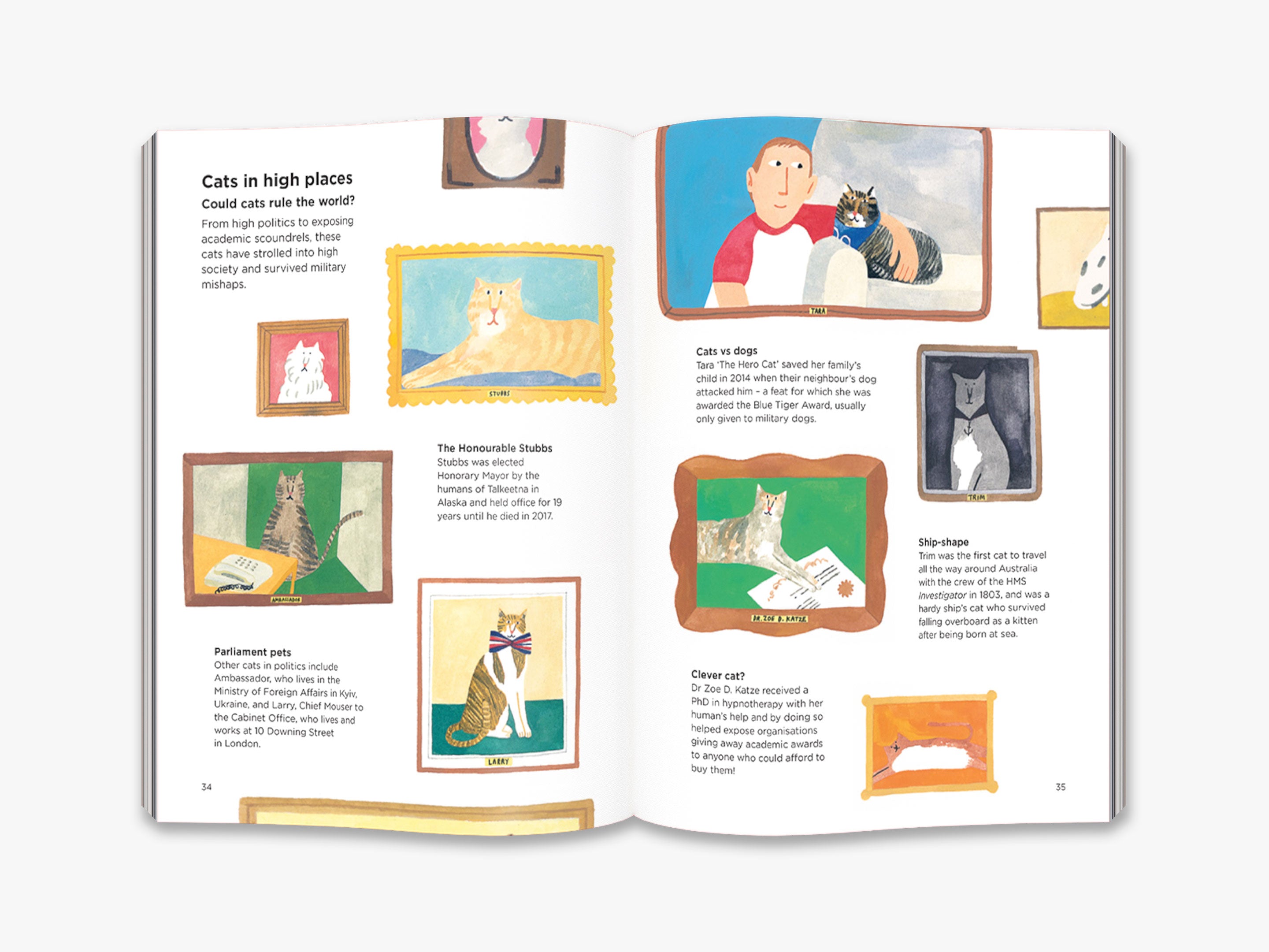Why Do Cats Meow? Understanding Cat Behavior & Communication | Pet Care Guide for Cat Owners