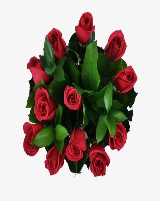 KaBloom Fresh 12 Red Roses with Chocolate Dipped Berries & Vase - Next Day Delivery | Birthday, Anniversary, Valentine's, Mother's Day Gift | Perfect for Romantic Surprises, Home Decor & Special Occasions