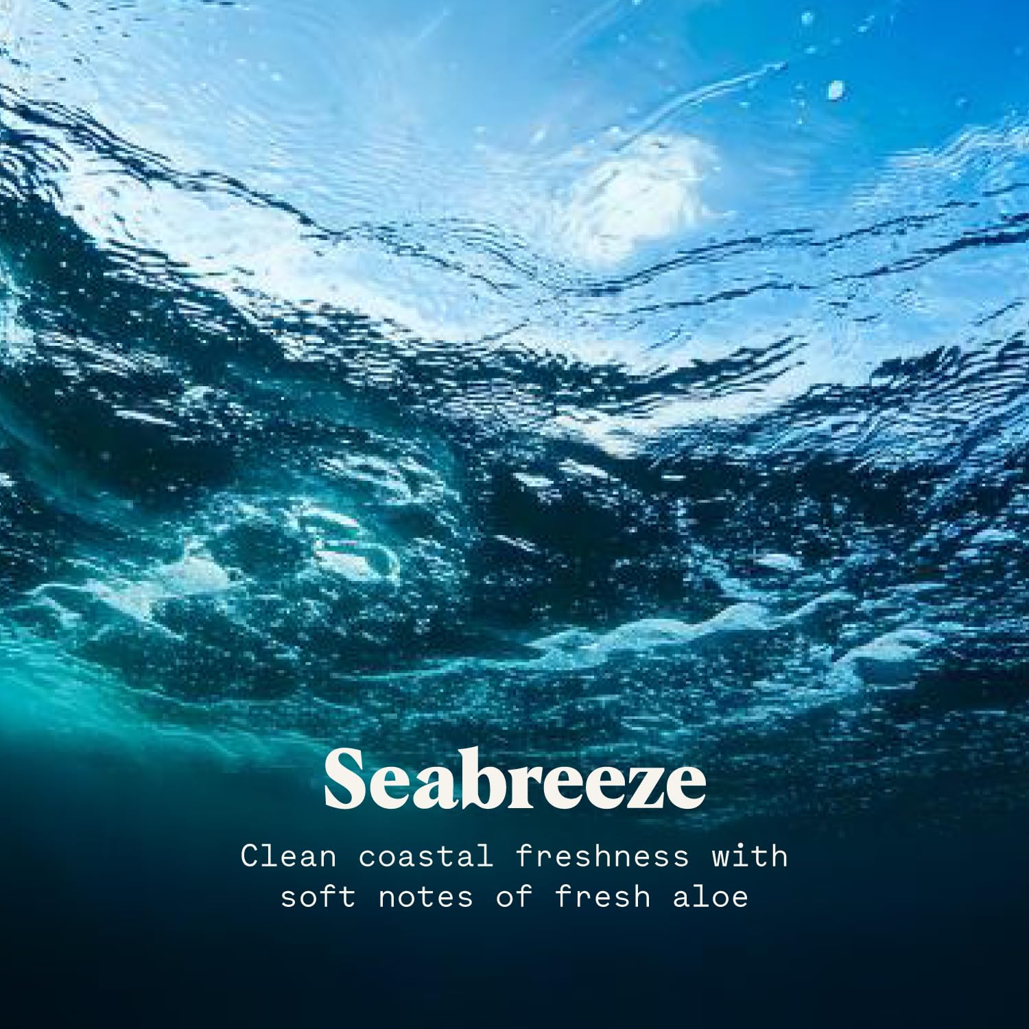 All-Natural Body Powder for Moisture & Odor Control | Sweat Absorbing Talc-Free Powder | Anti-Chafing & Body Odor Prevention | Seabreeze Scented | Perfect for Gym, Hiking & Daily Comfort