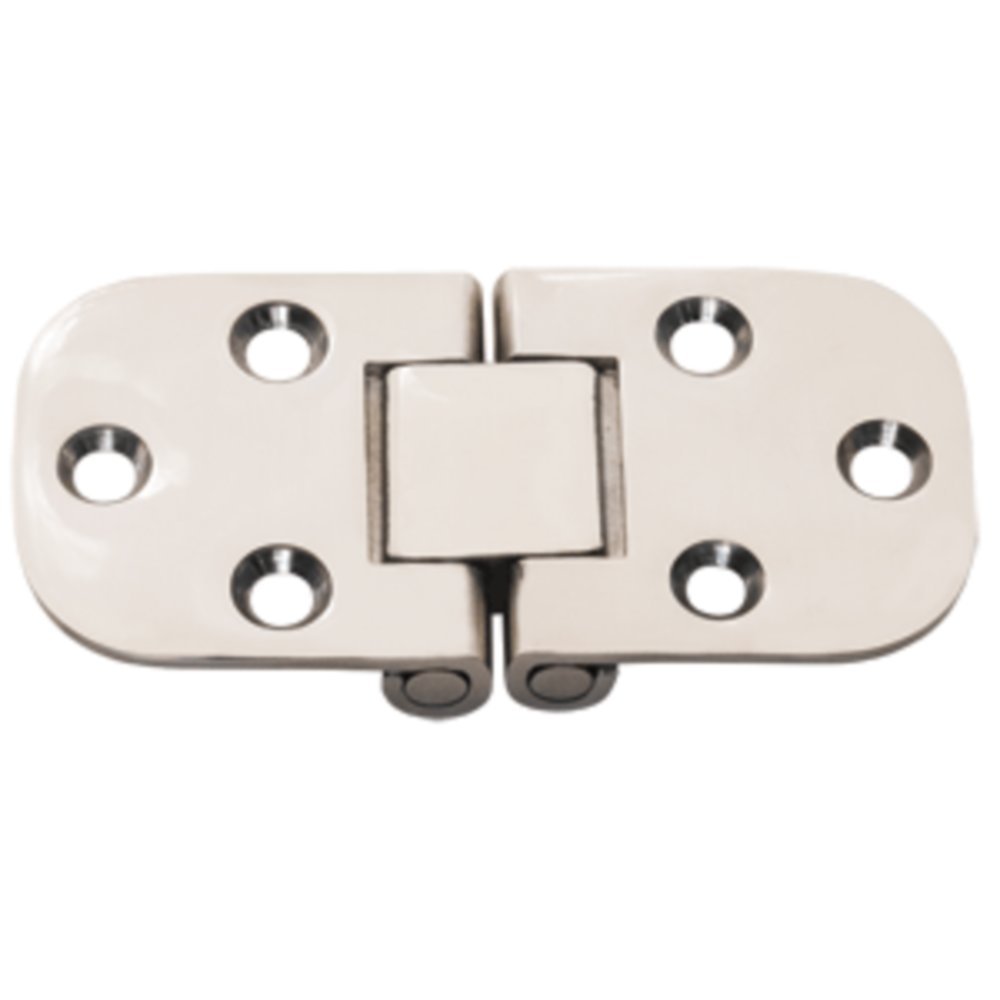 304 Stainless Steel Whitecap Flush Mount 2-Pin Hinge - 3