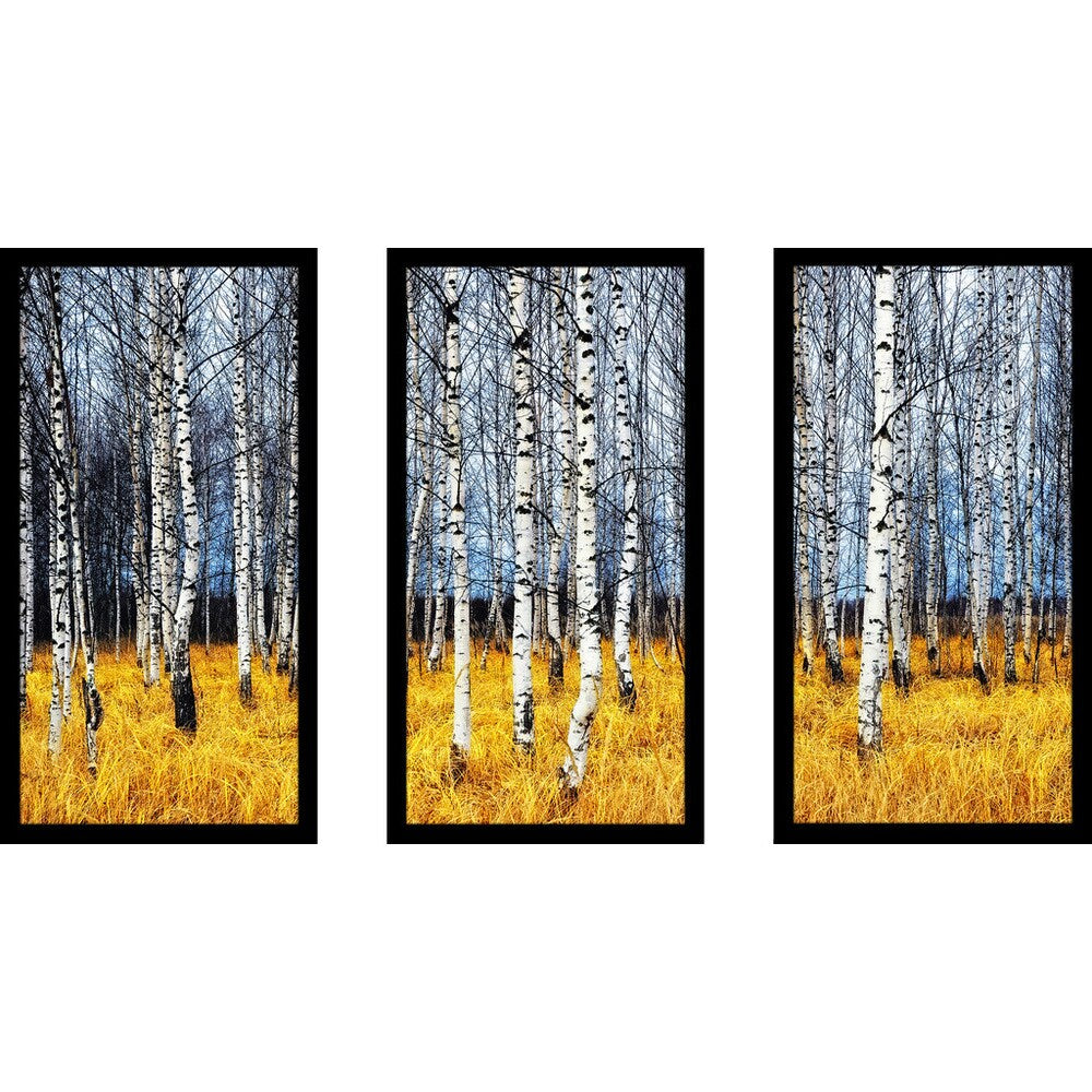 Birch Trees Wall Art Set of 3 - Framed Plexiglass Nature Decor for Living Room, Bedroom & Office - Modern Botanical Prints for Home Decor