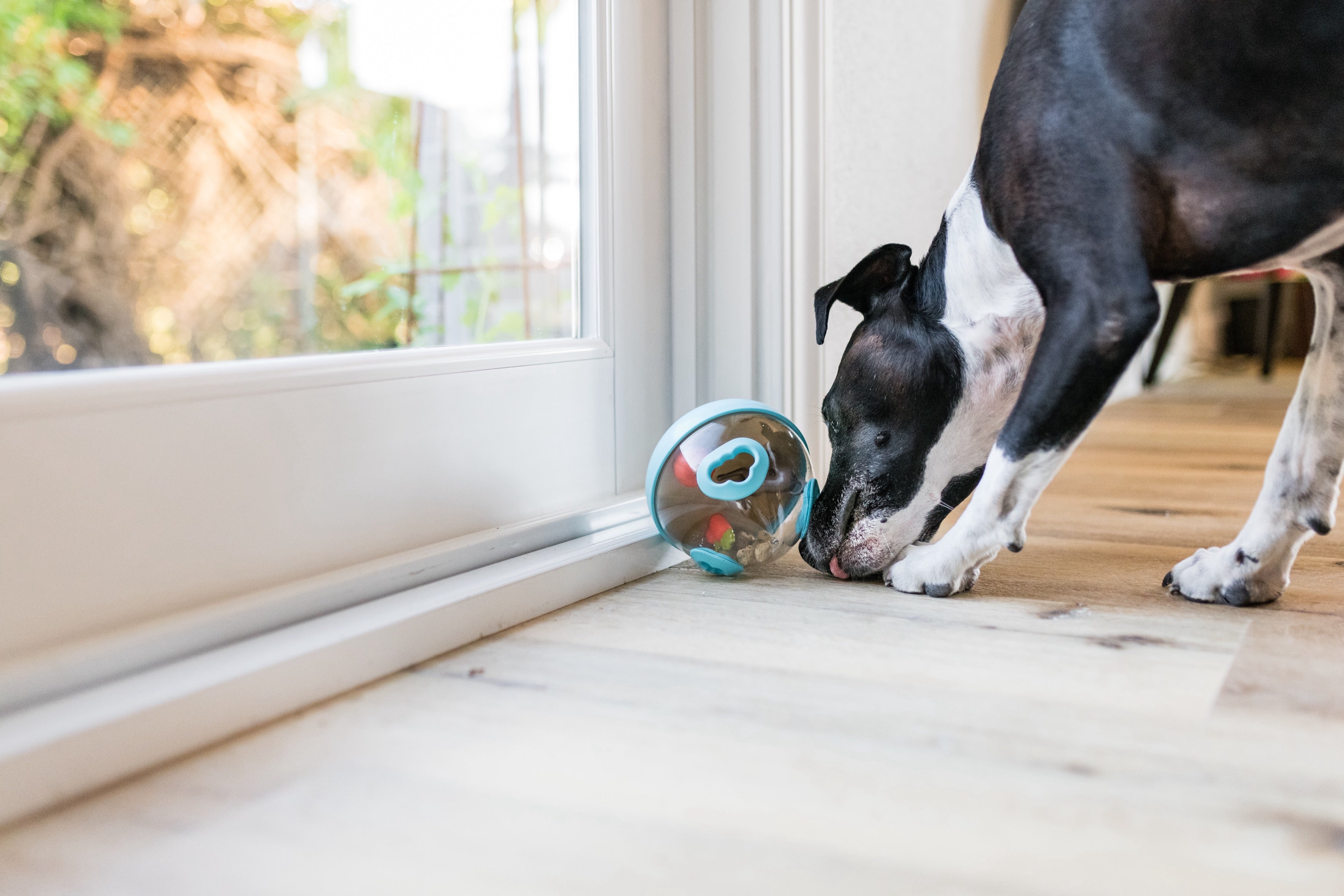 Interactive Wobble Ball Dog Toy with Treat Dispenser - Green | Pet P.L.A.Y. - Fun Puzzle Game for Dogs to Stimulate Mental & Physical Activity