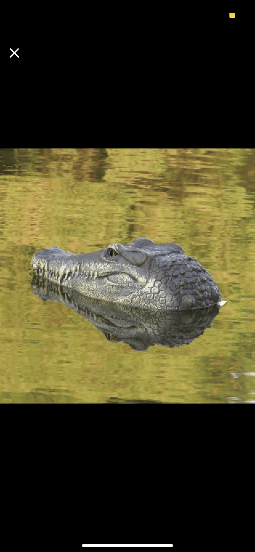 Crocadillo RC Crocodile Boat - Remote Control Swimming Toy for Kids & Adults, Pool & Lake Water Play, Fun Outdoor Gift