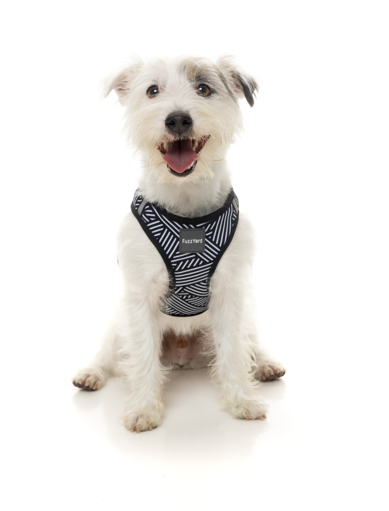 Fuzzyard Step-in Dog Harness - Adjustable & Reflective Northcote Pet Vest for Small to Large Dogs (6 Sizes) - Perfect for Walking, Hiking & Outdoor Adventures