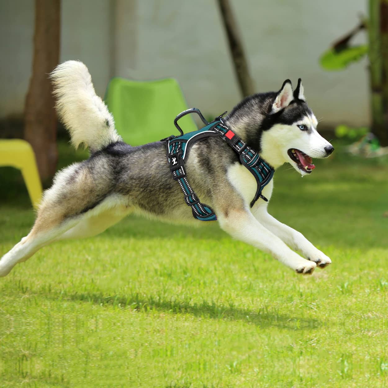 PoyPet No Pull Dog Harness - Front Clip Reflective Vest with Soft Padded Handle & 3 Leash Attachments for Small Medium Large Dogs (Tumalo Teal, Medium) - Perfect for Walking, Training & Nighttime Safety