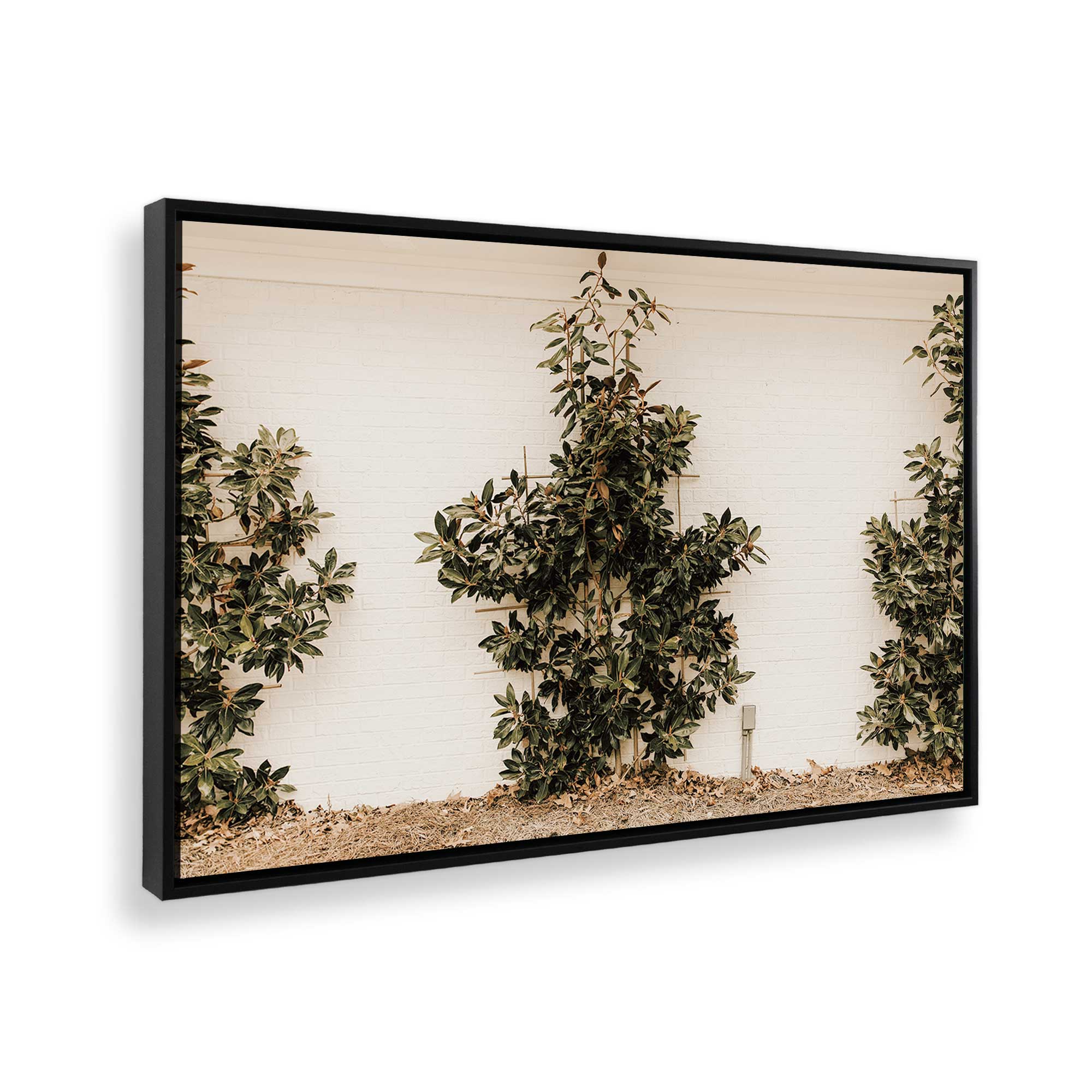 Green Embrace Canvas Wall Art Print - Modern Home Decor for Living Room, Bedroom & Office