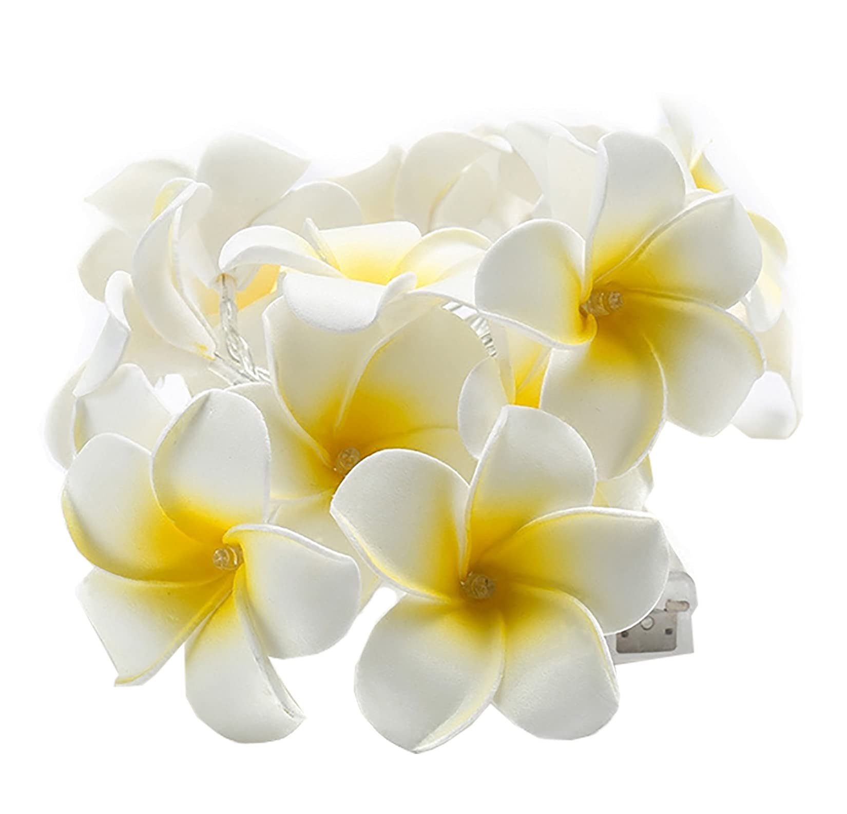 20 LED Artificial Frangipani String Lights - USB Powered Plumeria Flower Fairy Lights for Christmas, Party, Home, Wedding & Beach Decor (White, 1 Pack) | Indoor & Outdoor Decorative Lighting for Garden, Patio, Bedroom and Special Events