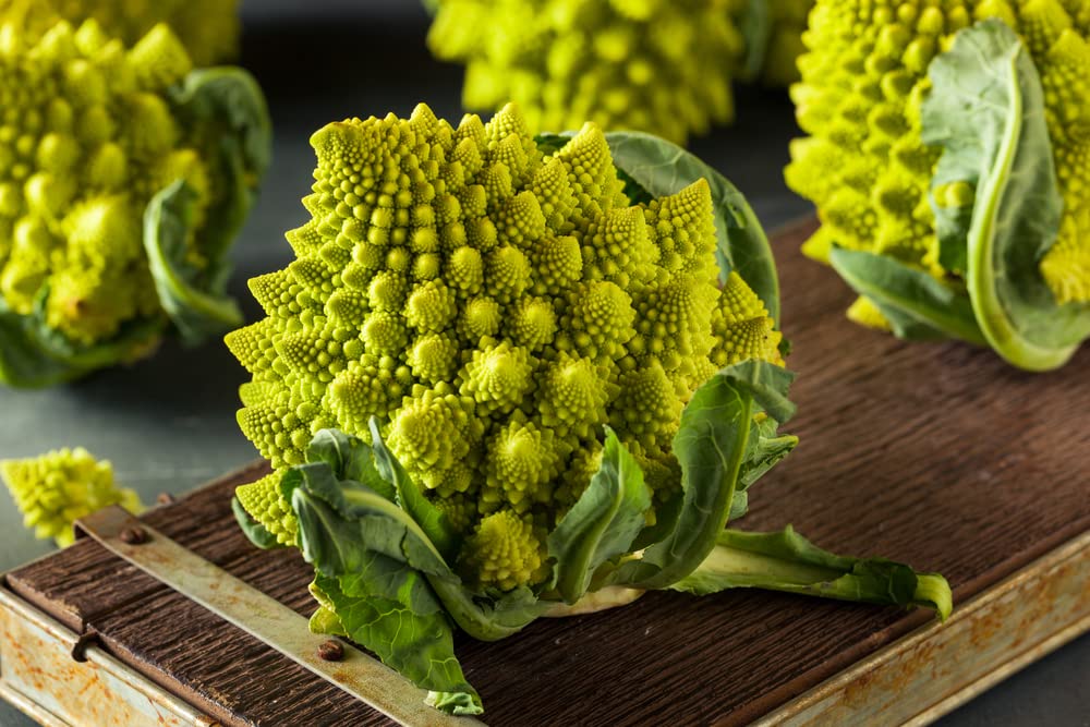 Romanesco Broccoli Seeds 250+ Count for Planting (Brassica oleracea) | Non-GMO, Heirloom, USA Grown | Home Garden, Organic Farming, CSA Growing | Ships from Iowa