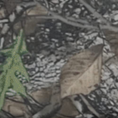 Camo - Backwoods