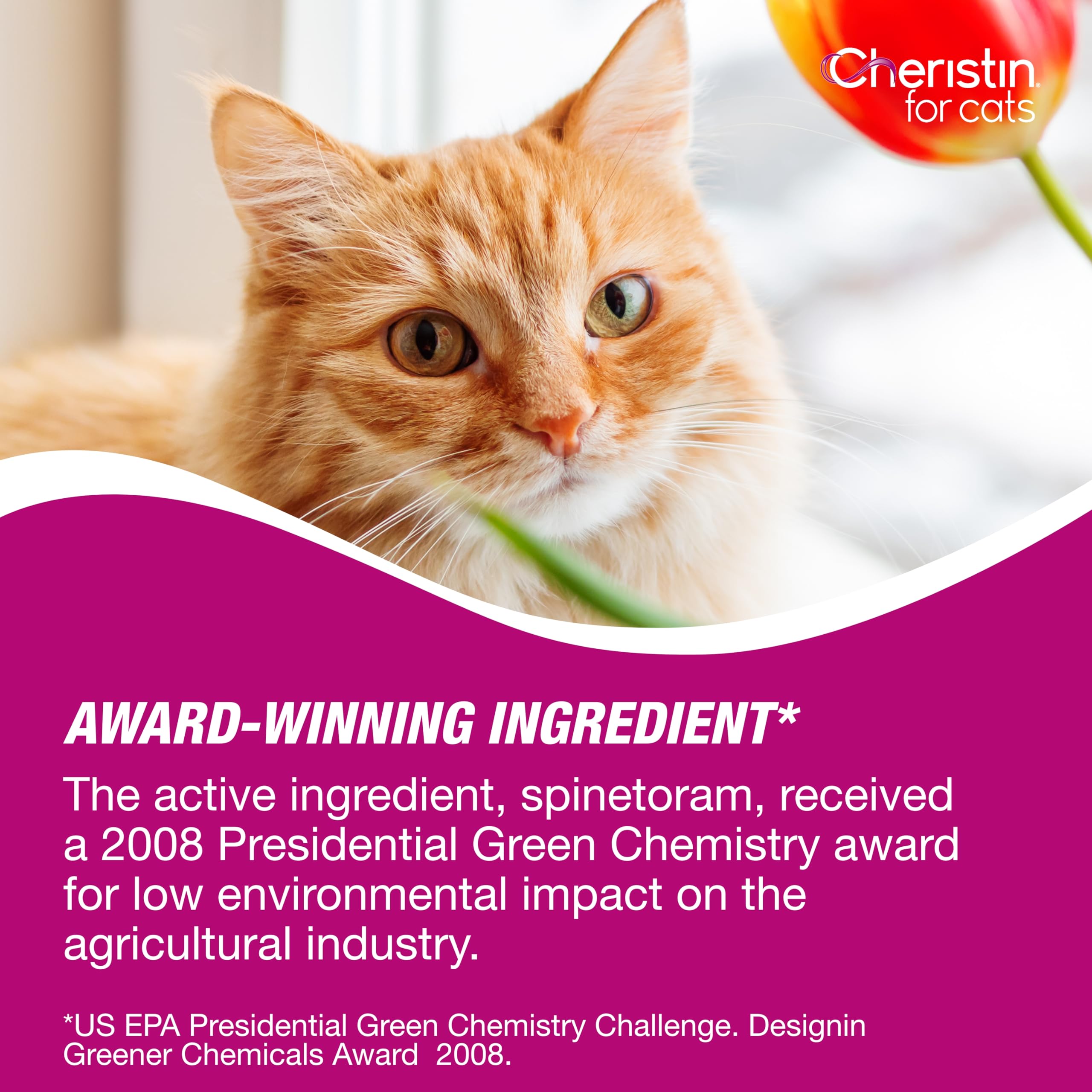Cheristin Flea Treatment for Cats - Fast-Acting Topical Flea Prevention & Control for Cats Over 1.8 lbs (1 Count) | Kills Fleas Within 30 Minutes | Ideal for Indoor & Outdoor Cats
