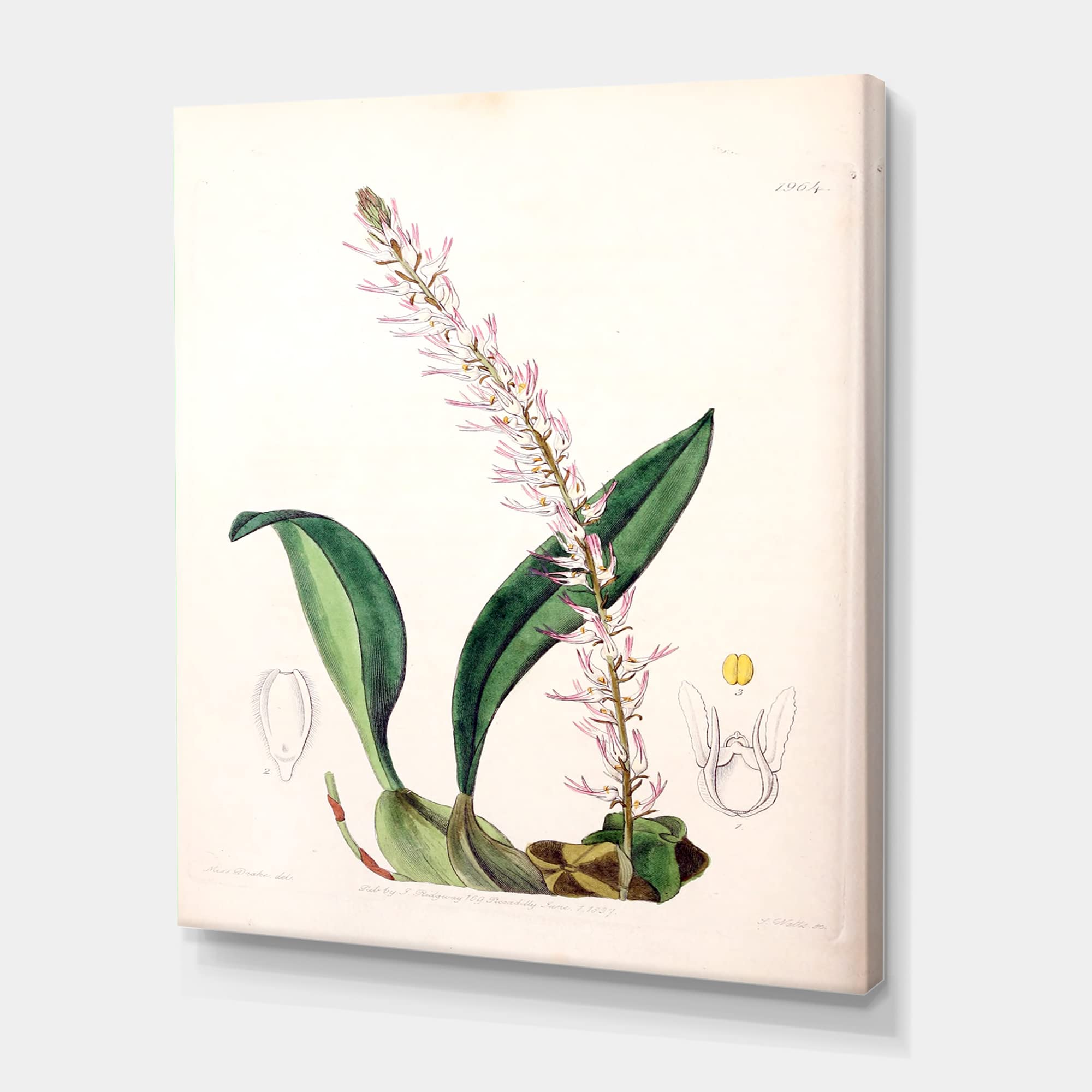 Vintage London Botanical Canvas Wall Art - Traditional Floral Painting for Living Room, Bedroom & Office Decor